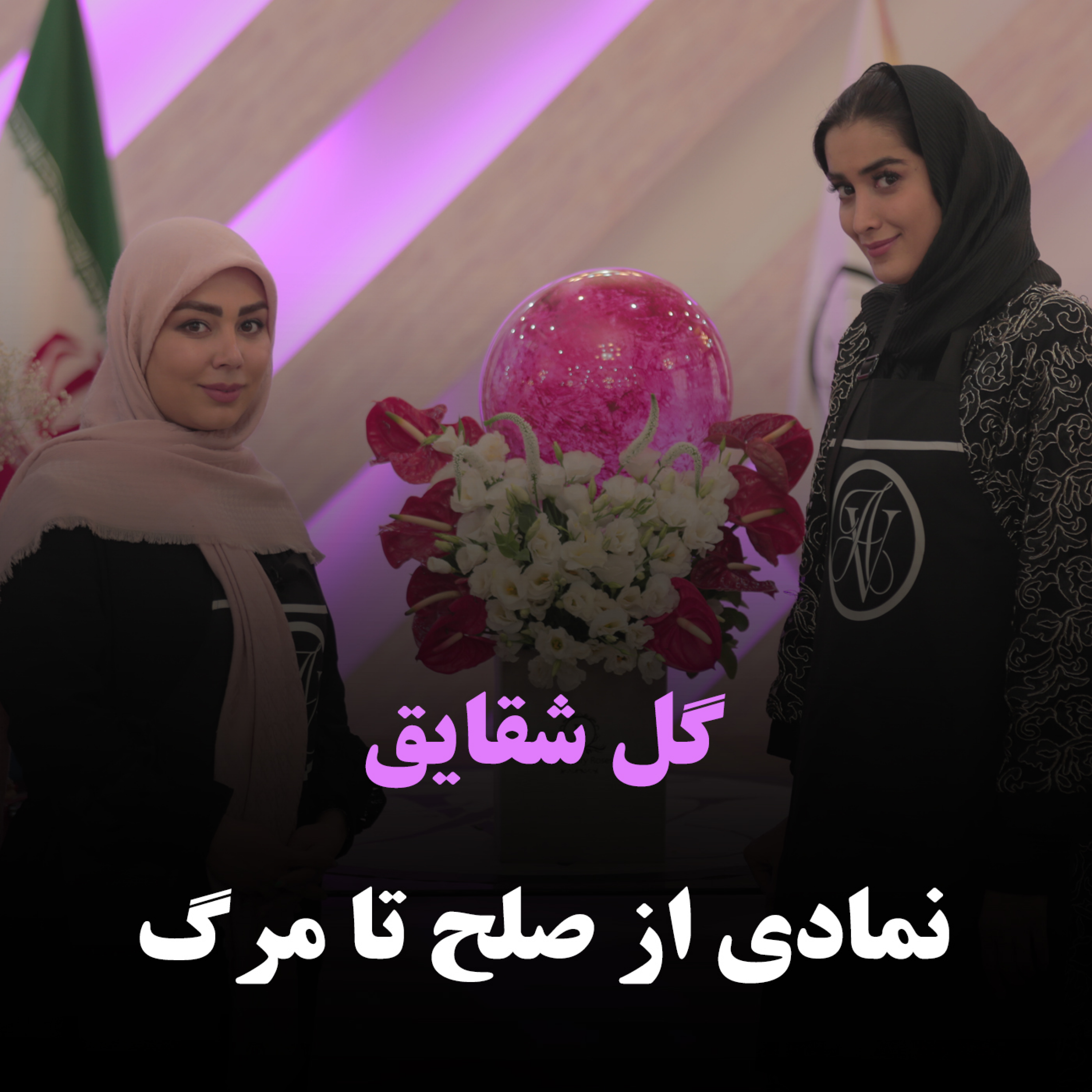کاور گل شقایق، نمادی از صلح تا مرگ