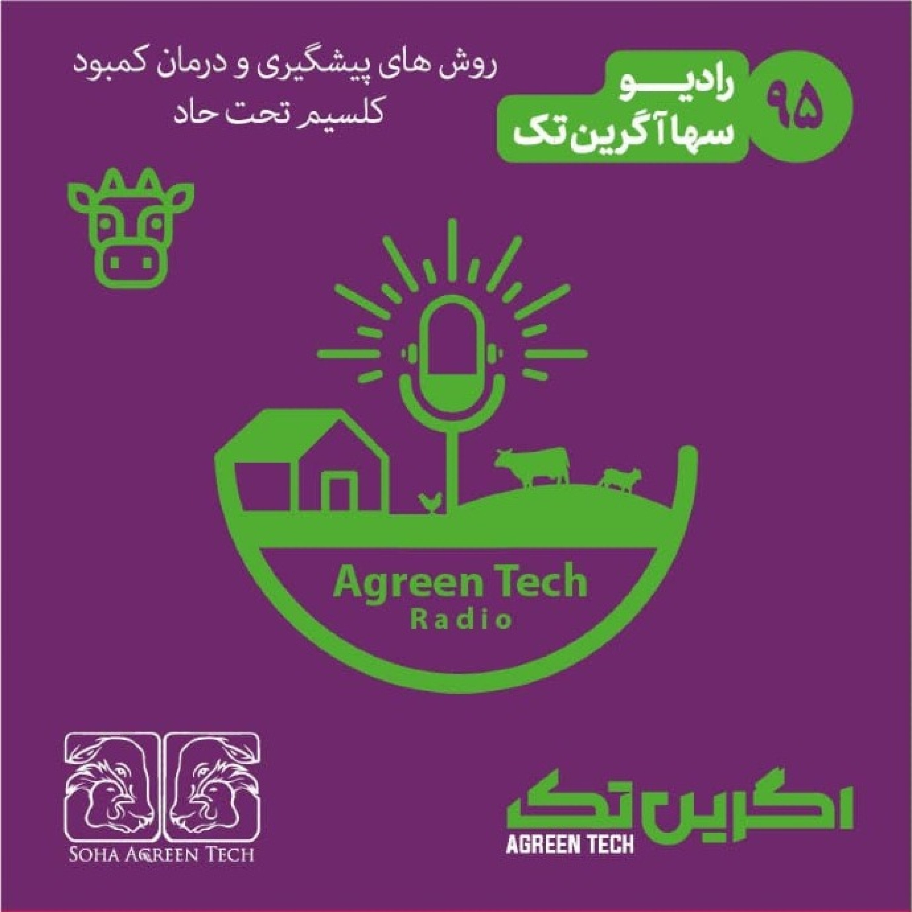 پادکست شماره 95: روش های پیشگیری و درمان کمبود کلسیم تحت حاد
