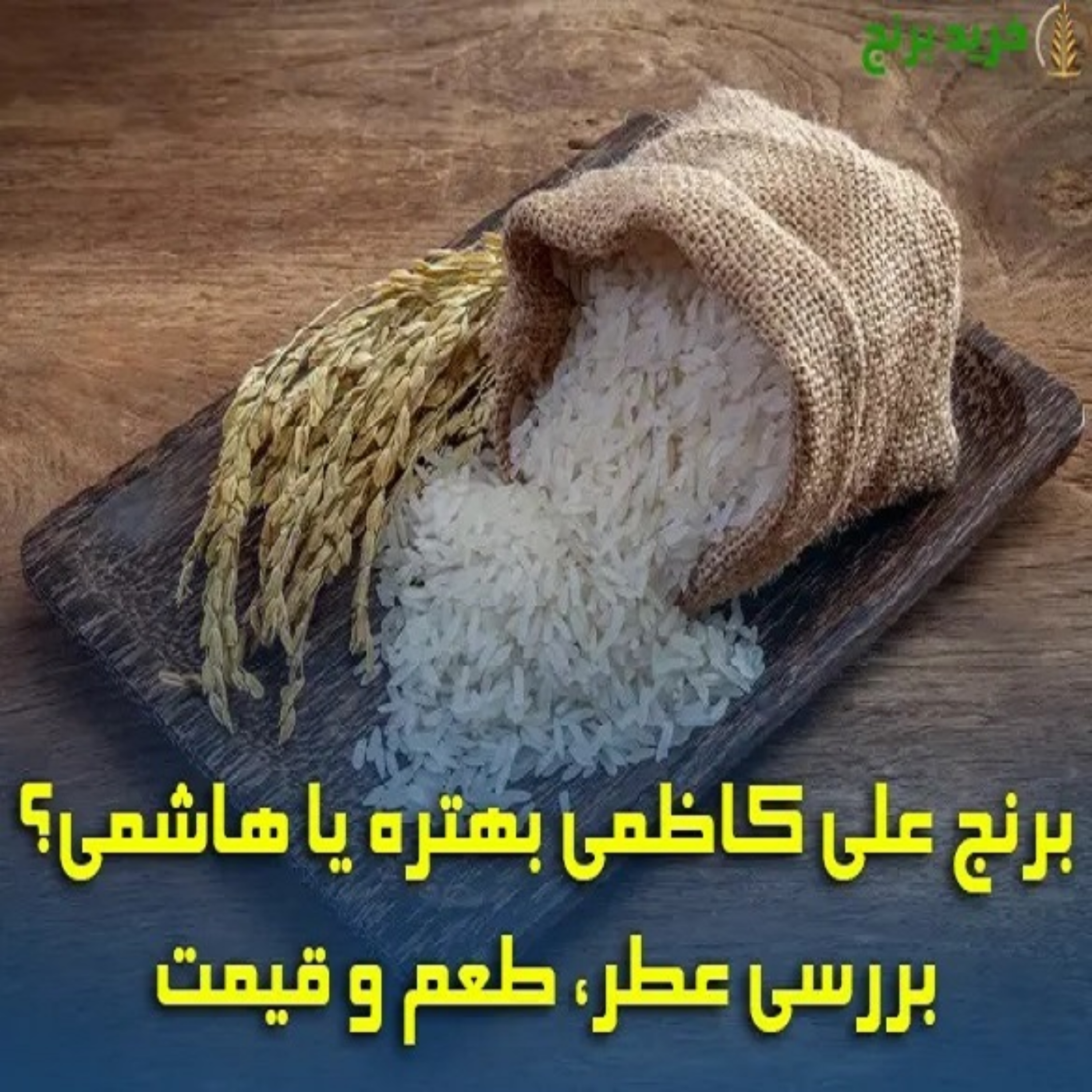 کاور برنج علی کاظمی بهتره یا هاشمی؟ + اصلی ترین تفاوت ها