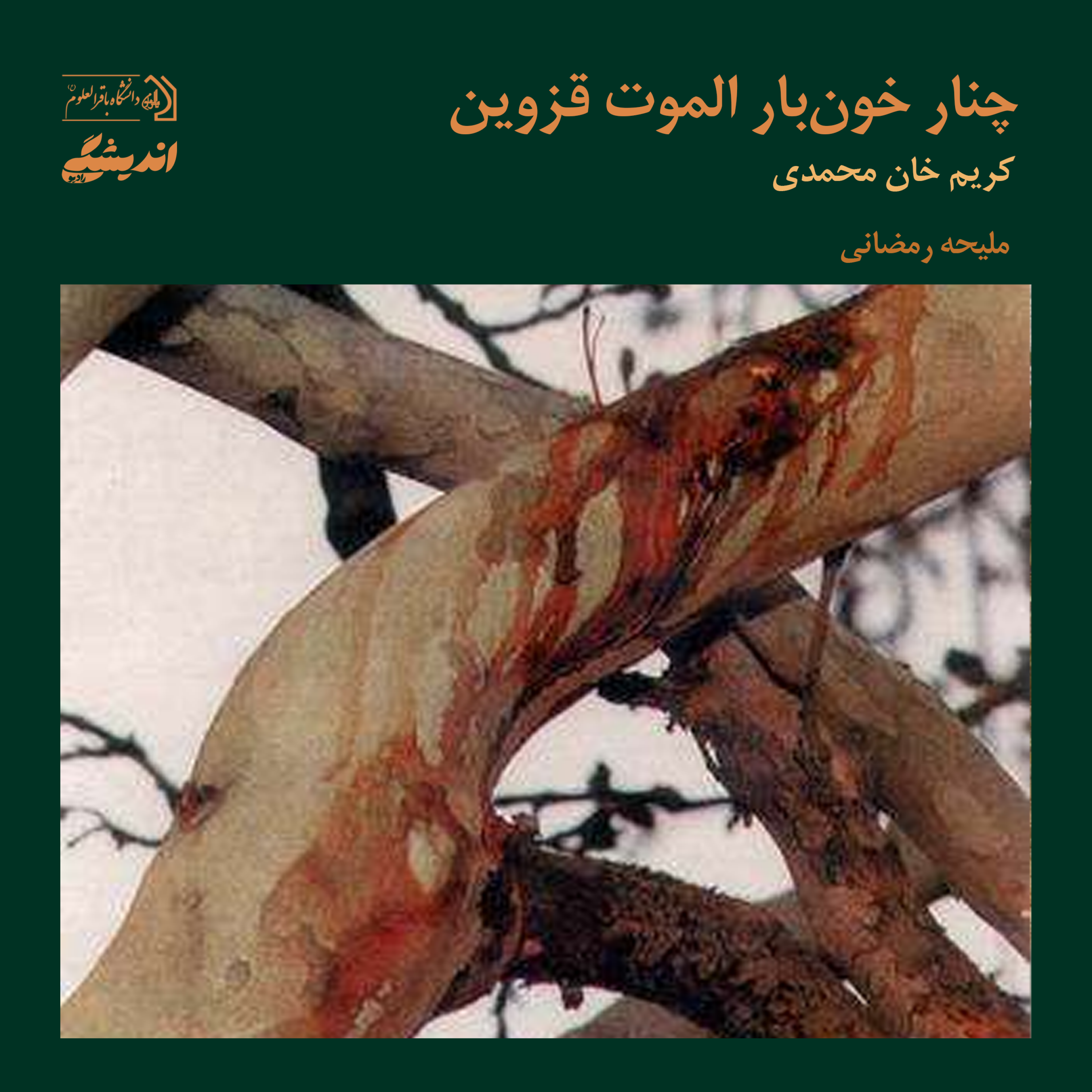 کاور شمارهی دوازده: چنار خونبار قزوین | برگرفته از کتاب انسانشناسی فرهنگی نوشتهی کریم خانمحمدی