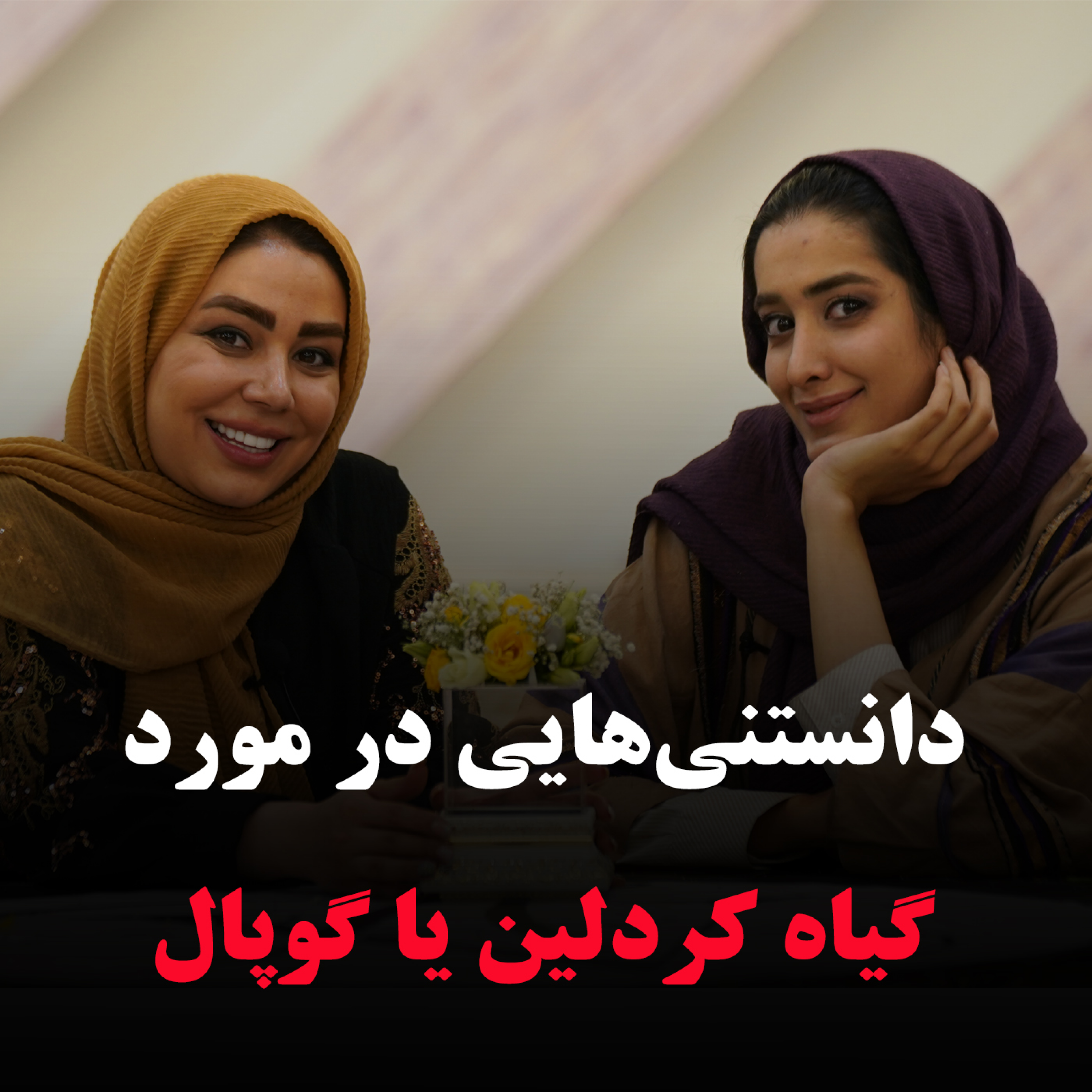 کاور دانستنیهایی در مورد گیاه کردلین یا گوپال