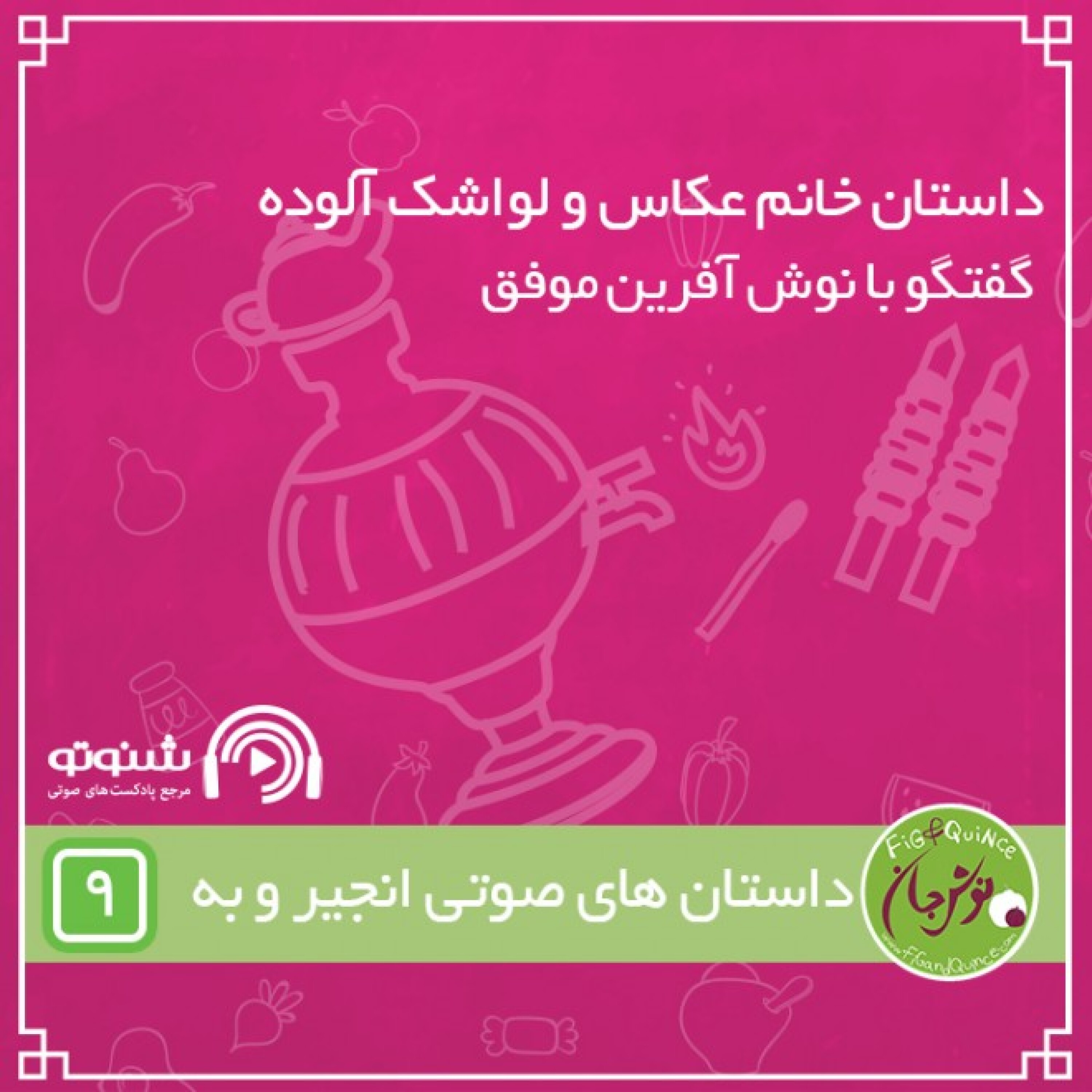 داستان خانم عکاس و لواشک