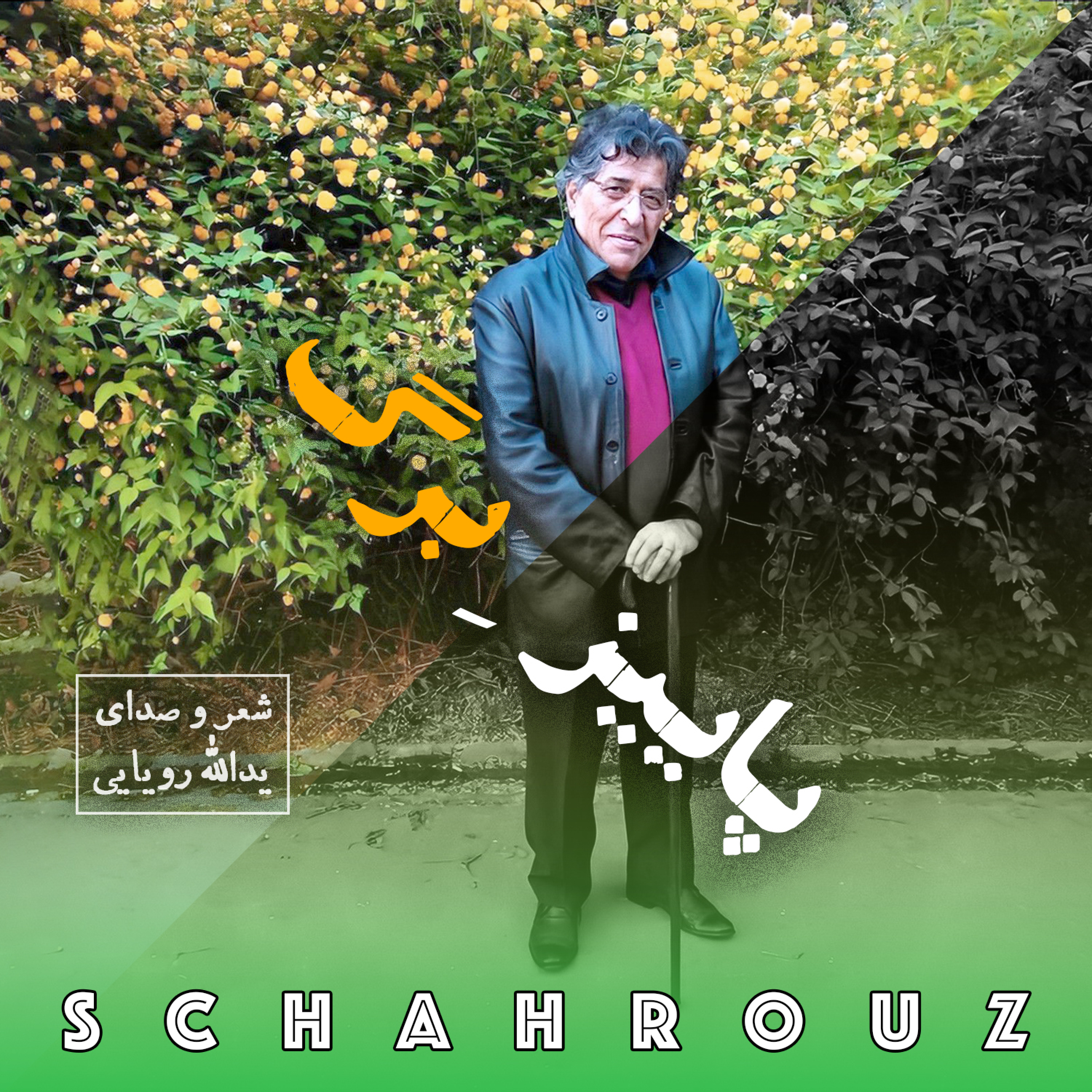 یدالله رویایی | لبریخته‌ها ۳۸
