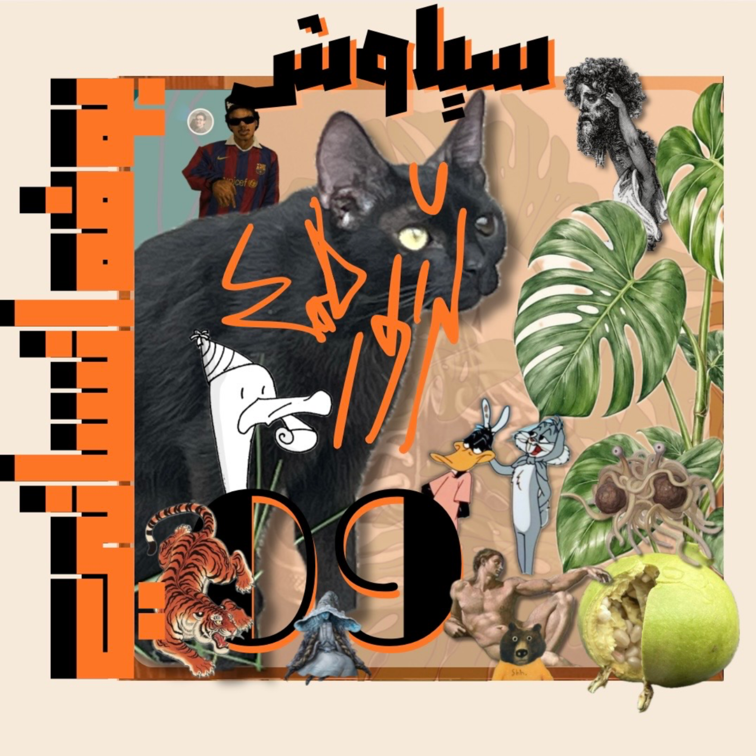کاور برداشت نهم: سیاوش