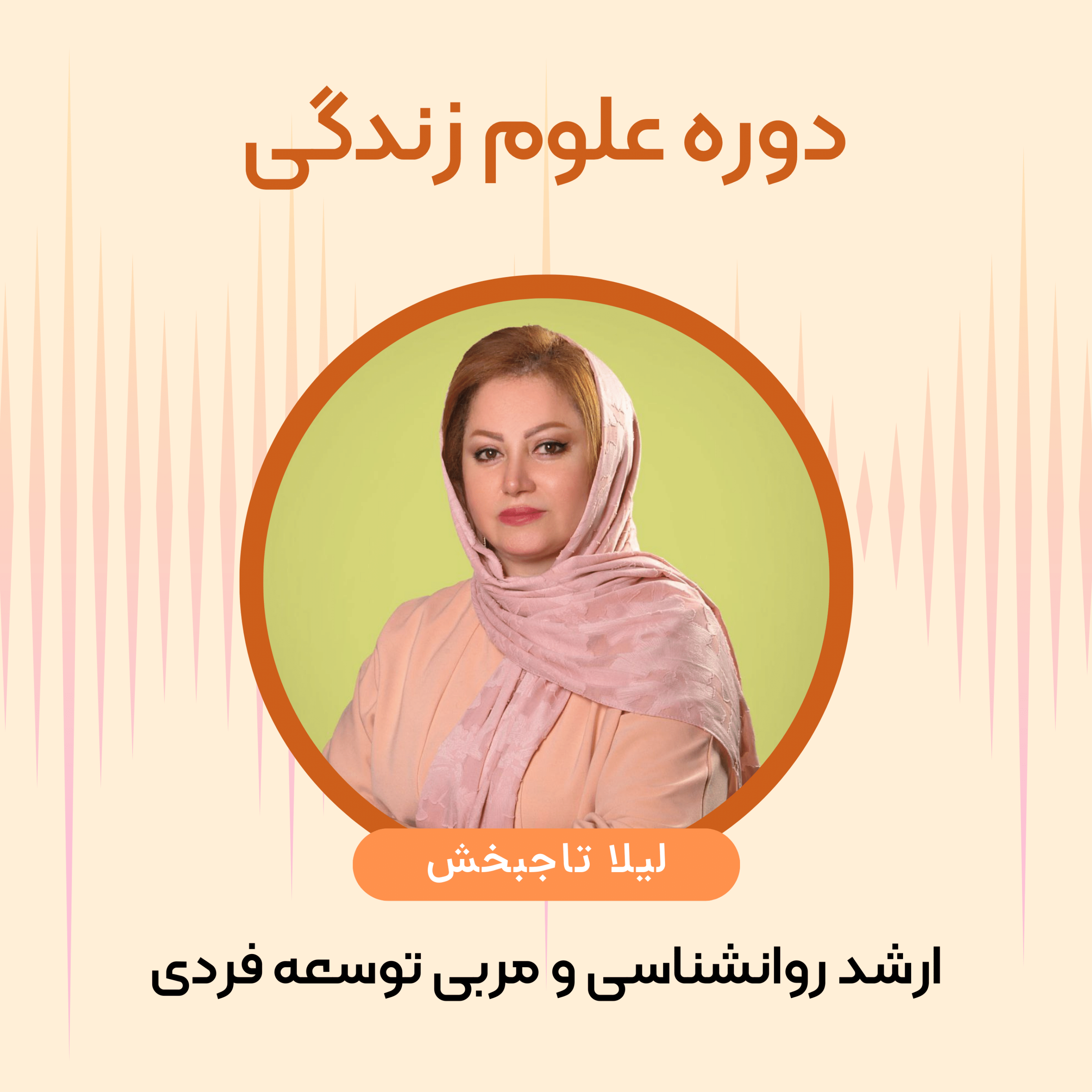 کاور چیکار کنیم کسی نتونه ما رو تحقیر کنه