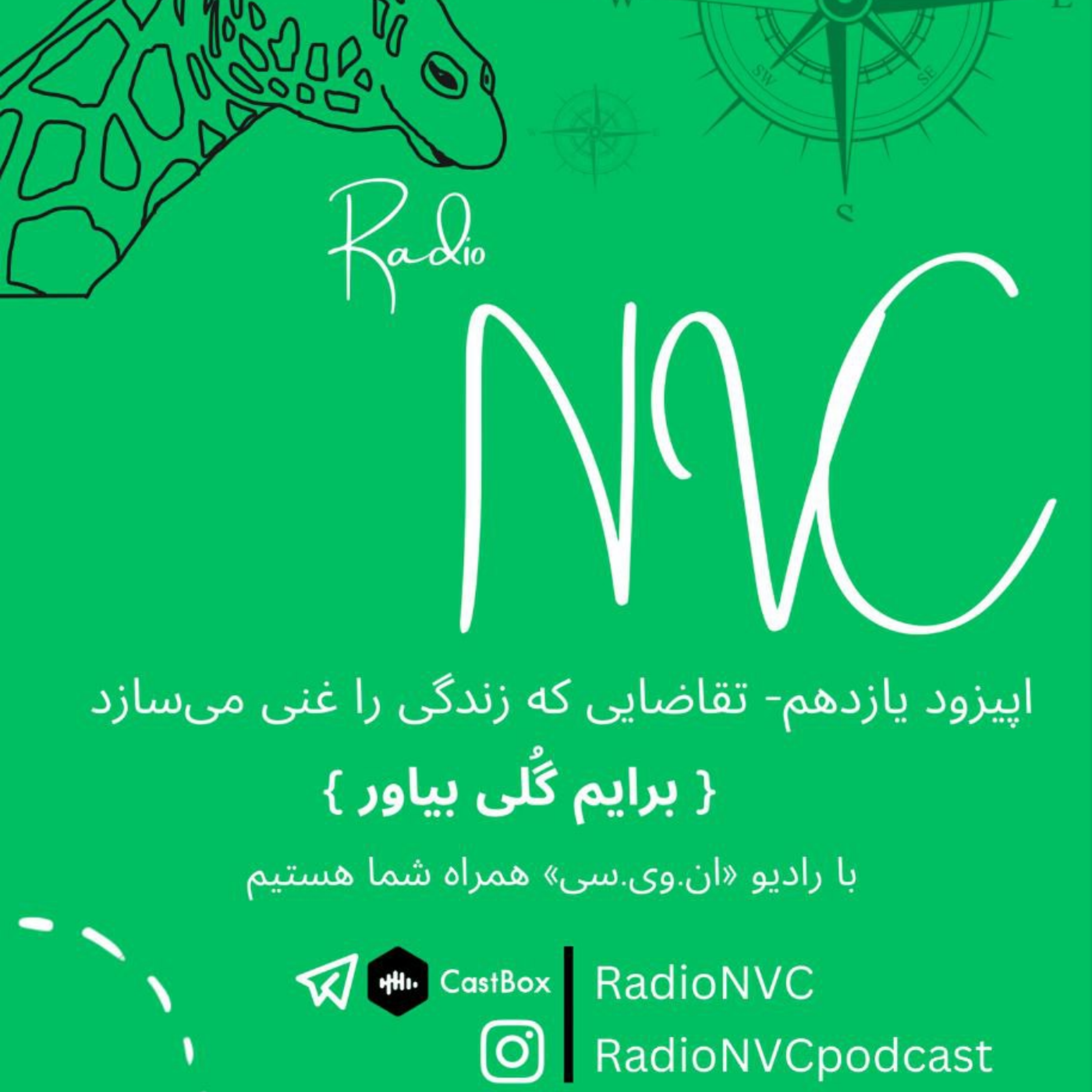 کاور اپیزود یازدهم -برایم گُلی بیاور