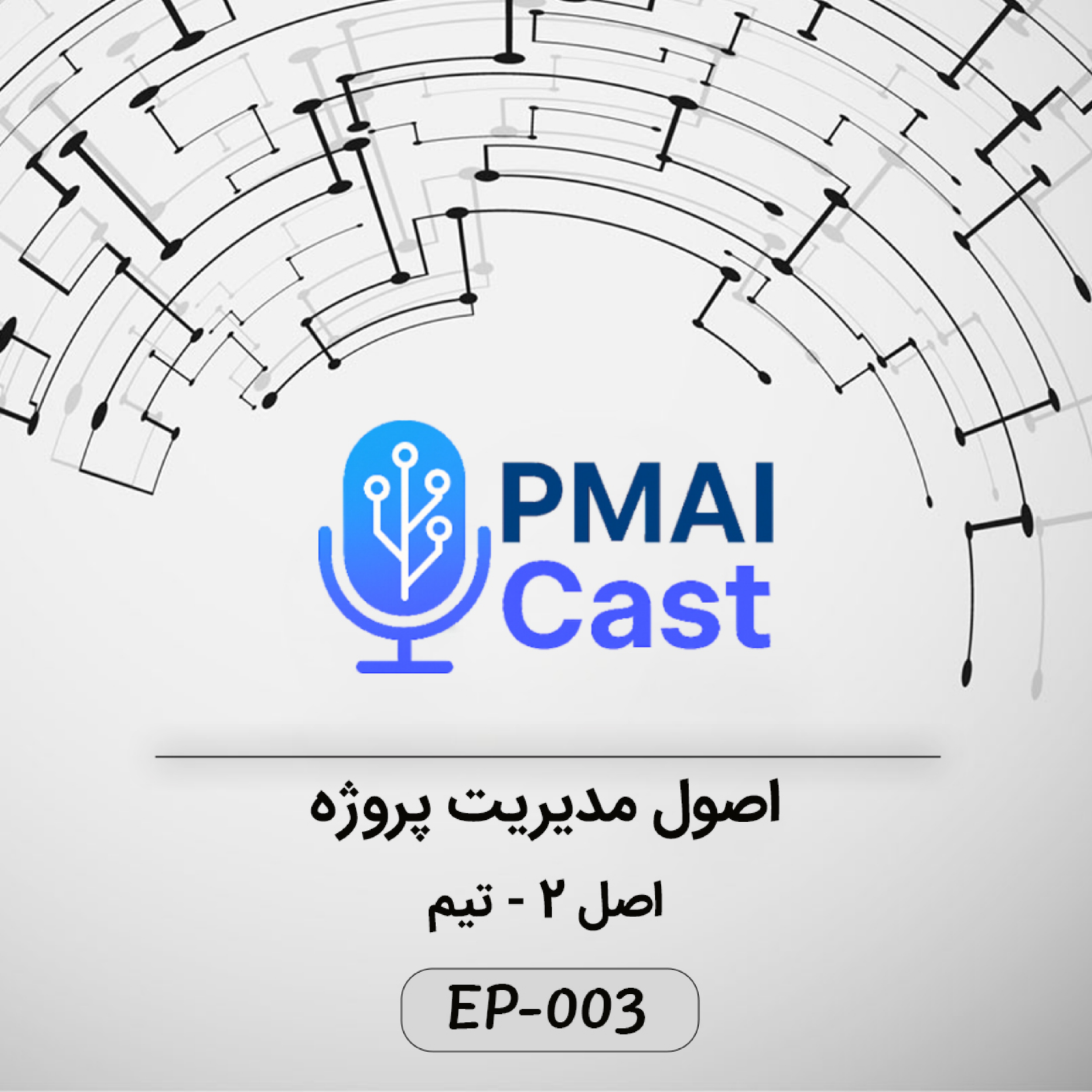 کاور ٍEP-003- اصول مدیریت پروژه - تیم