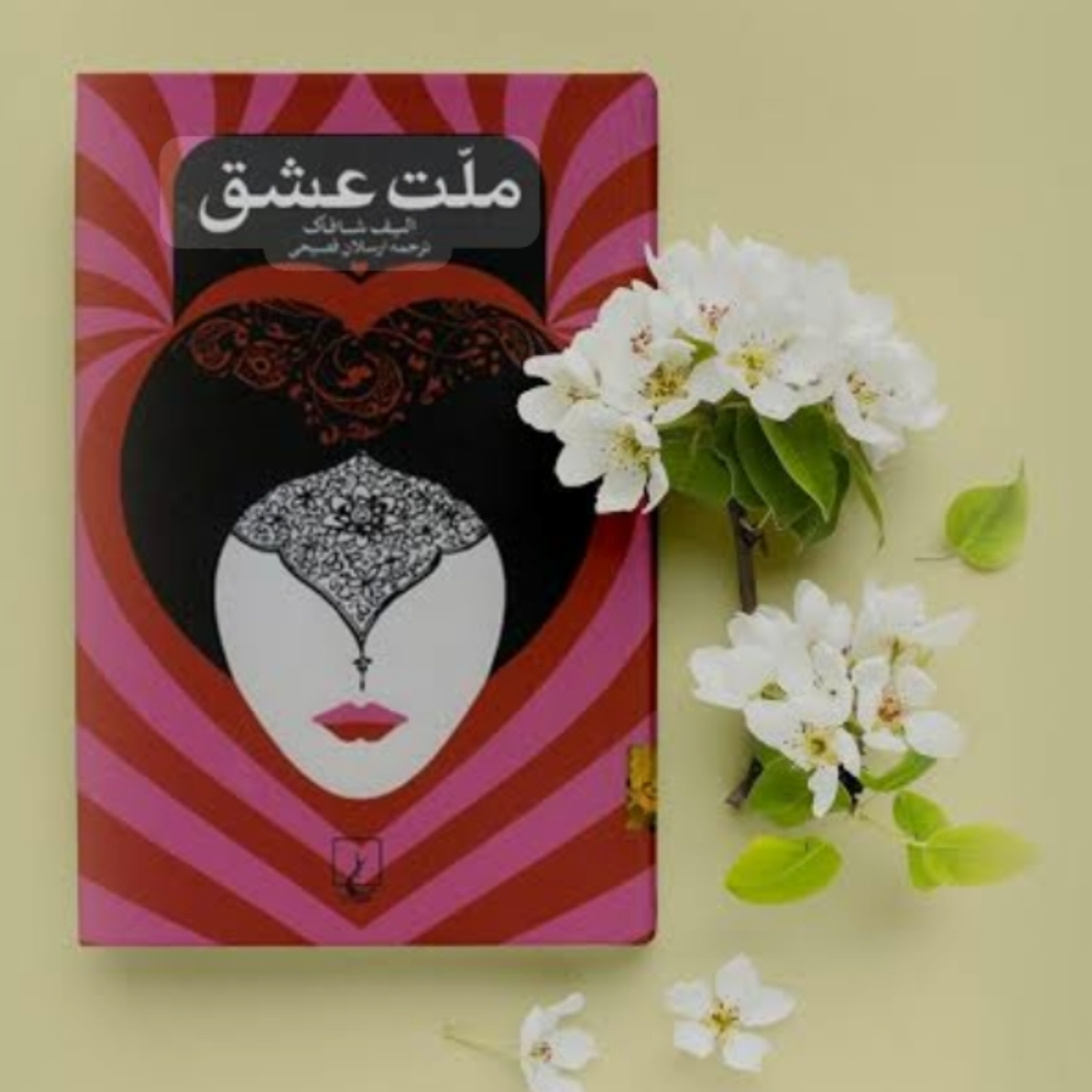 کاور کتاب ملت عشق (خلاصه قسمت پایانی)