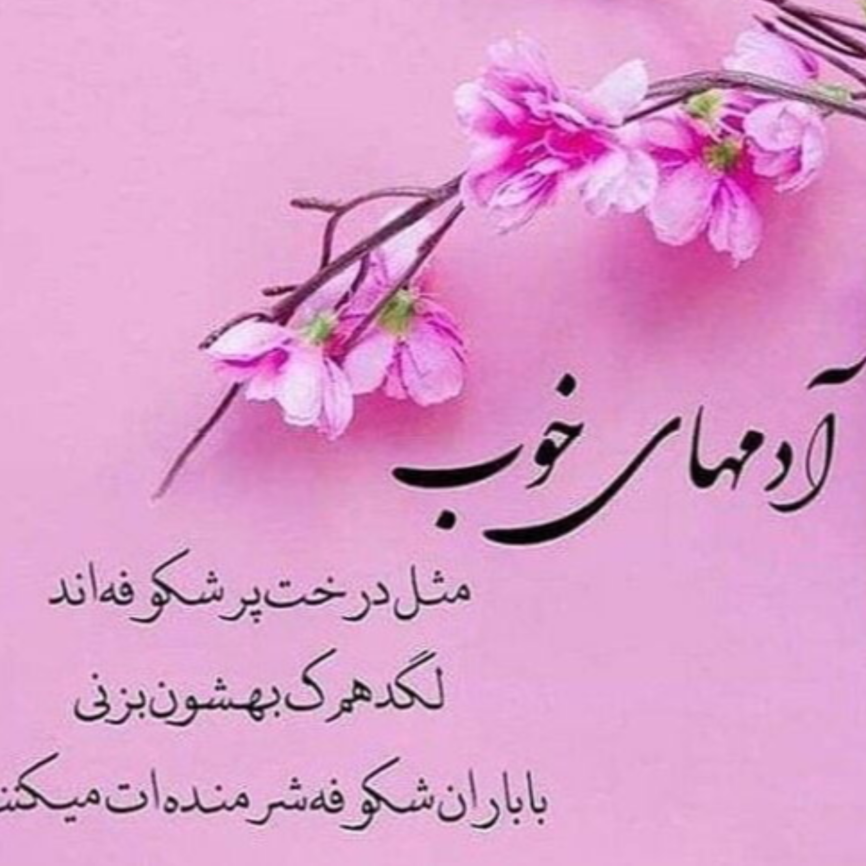 کاور صفحه 27 (بقره آیات 177-181) تفسیر تربیتی و روانشناسی قرآن