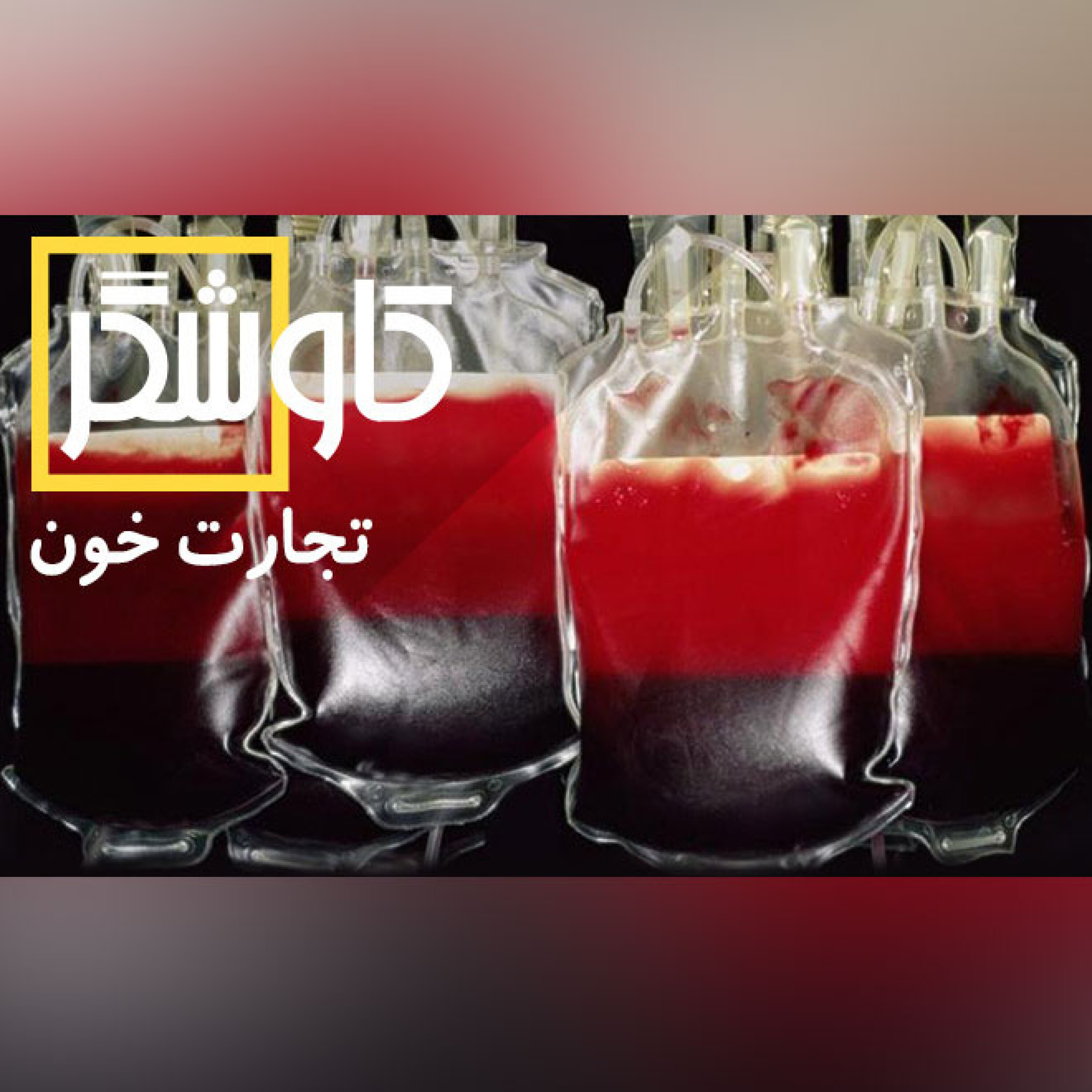 تجارت خون
