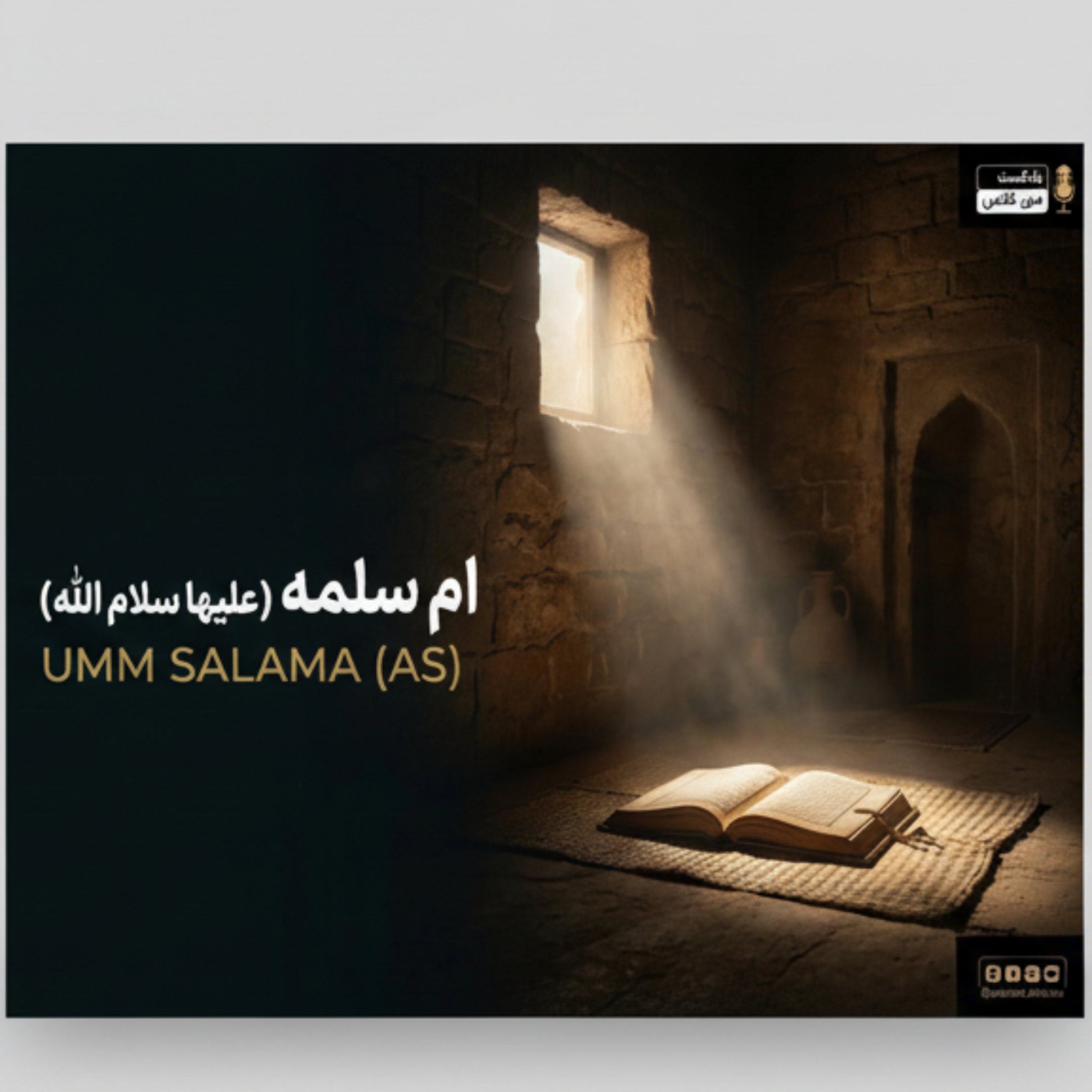 کاور ام سلمه 8