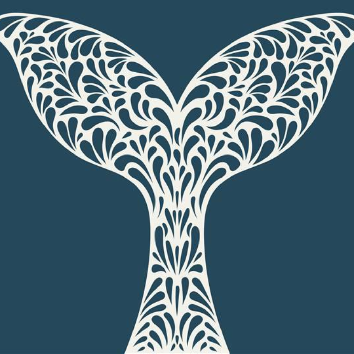 کاور آناتومی_تخصص_واقعی_نصب_پرده_در_تهران