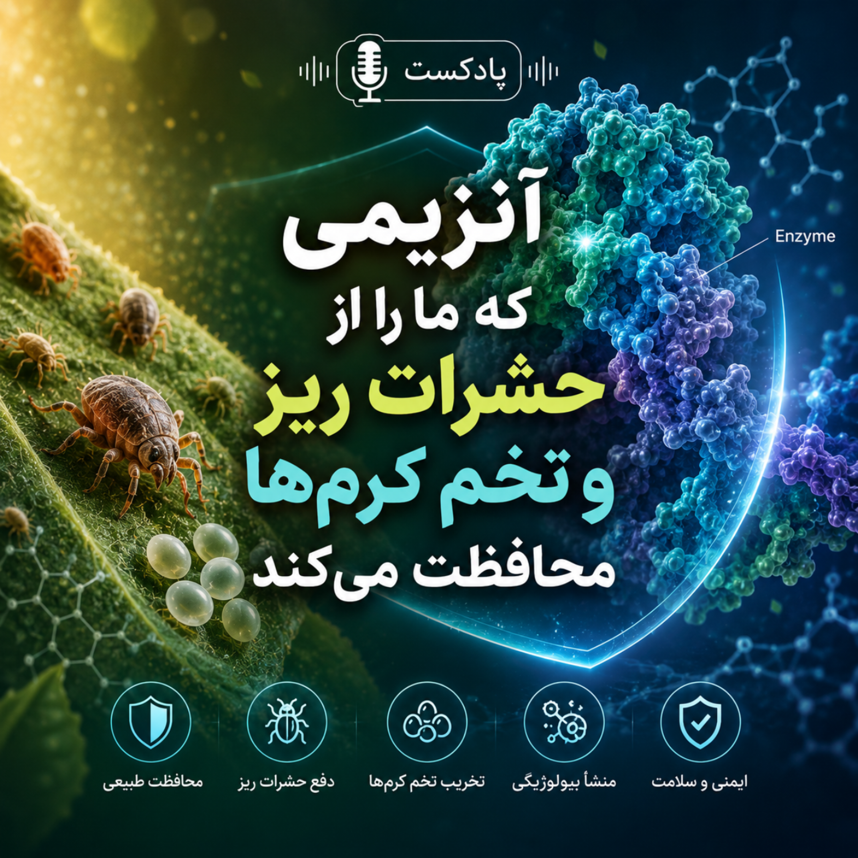 کاور قسمت پنجم
