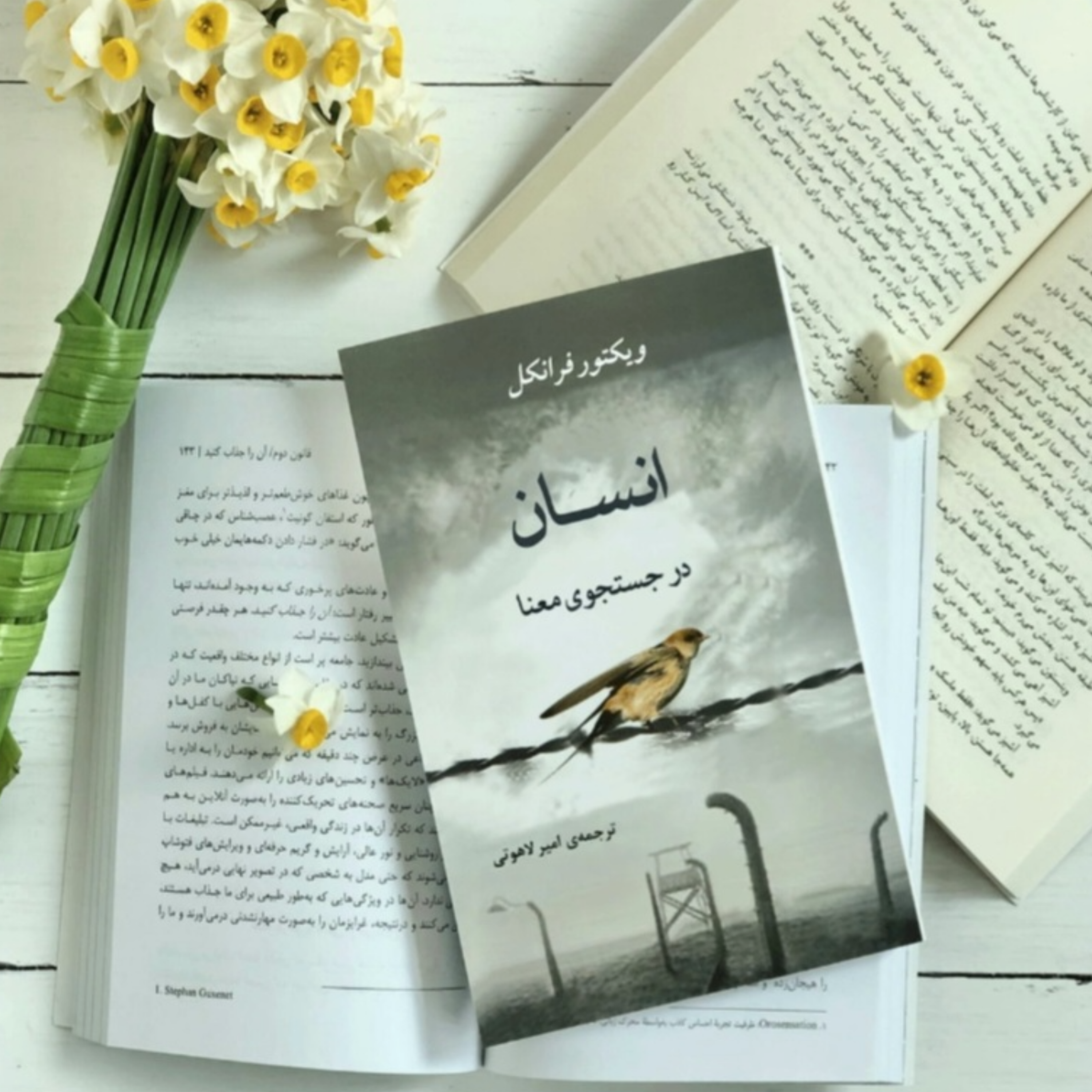 کاور کتاب انسان در جستجوی معنا (خلاصه قسمت دوم)