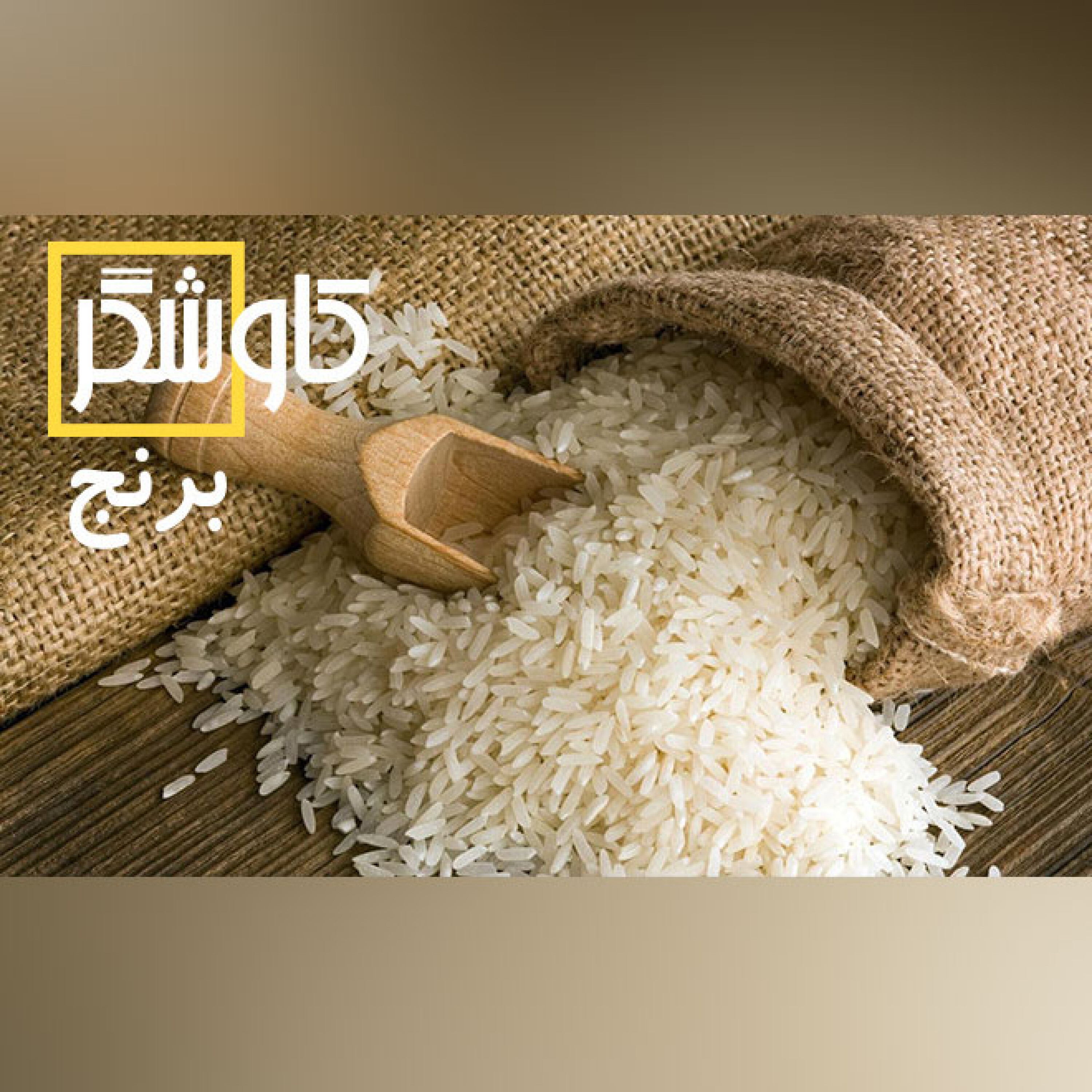 برنج