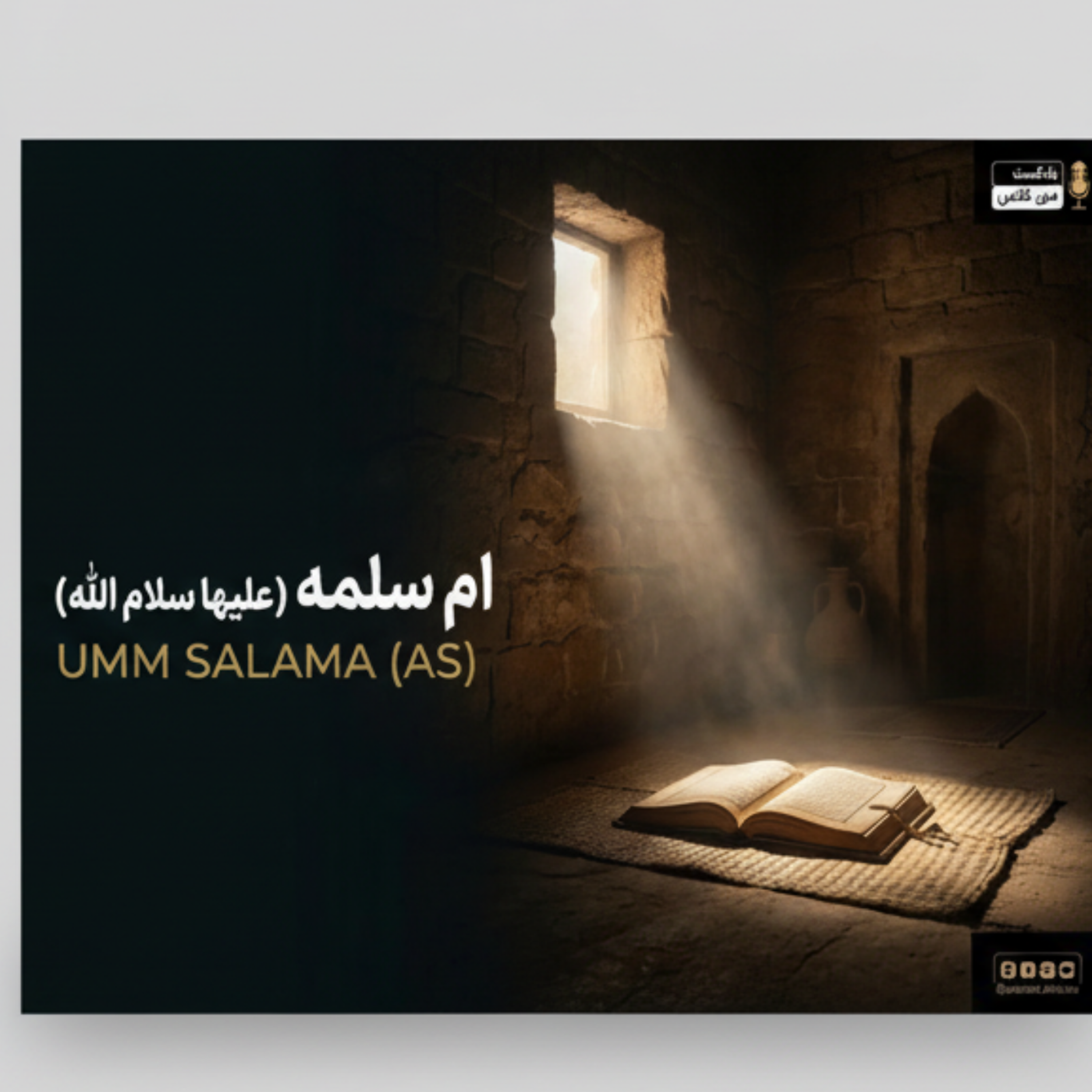 کاور ام سلمه 10