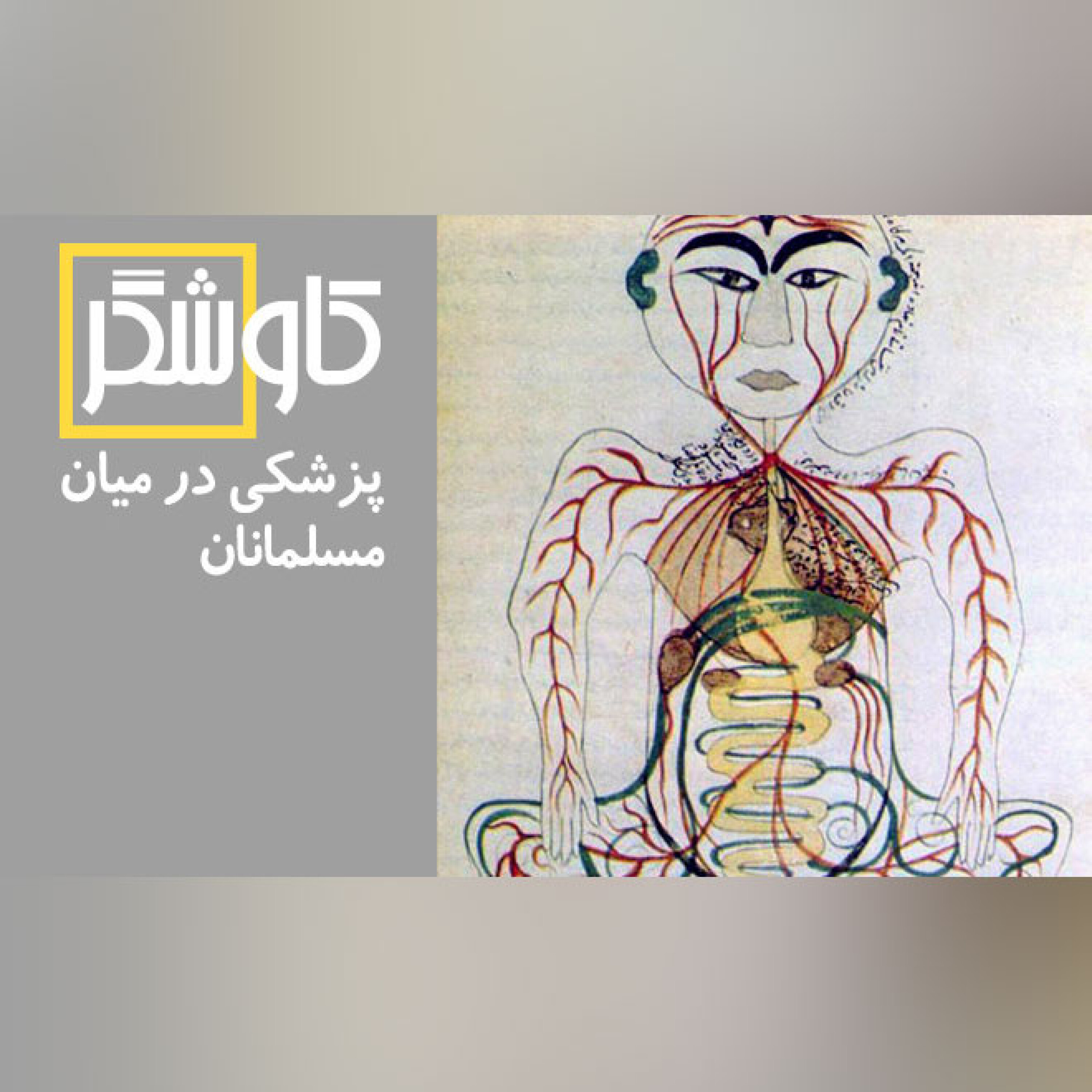 پزشکی در میان مسلمانان