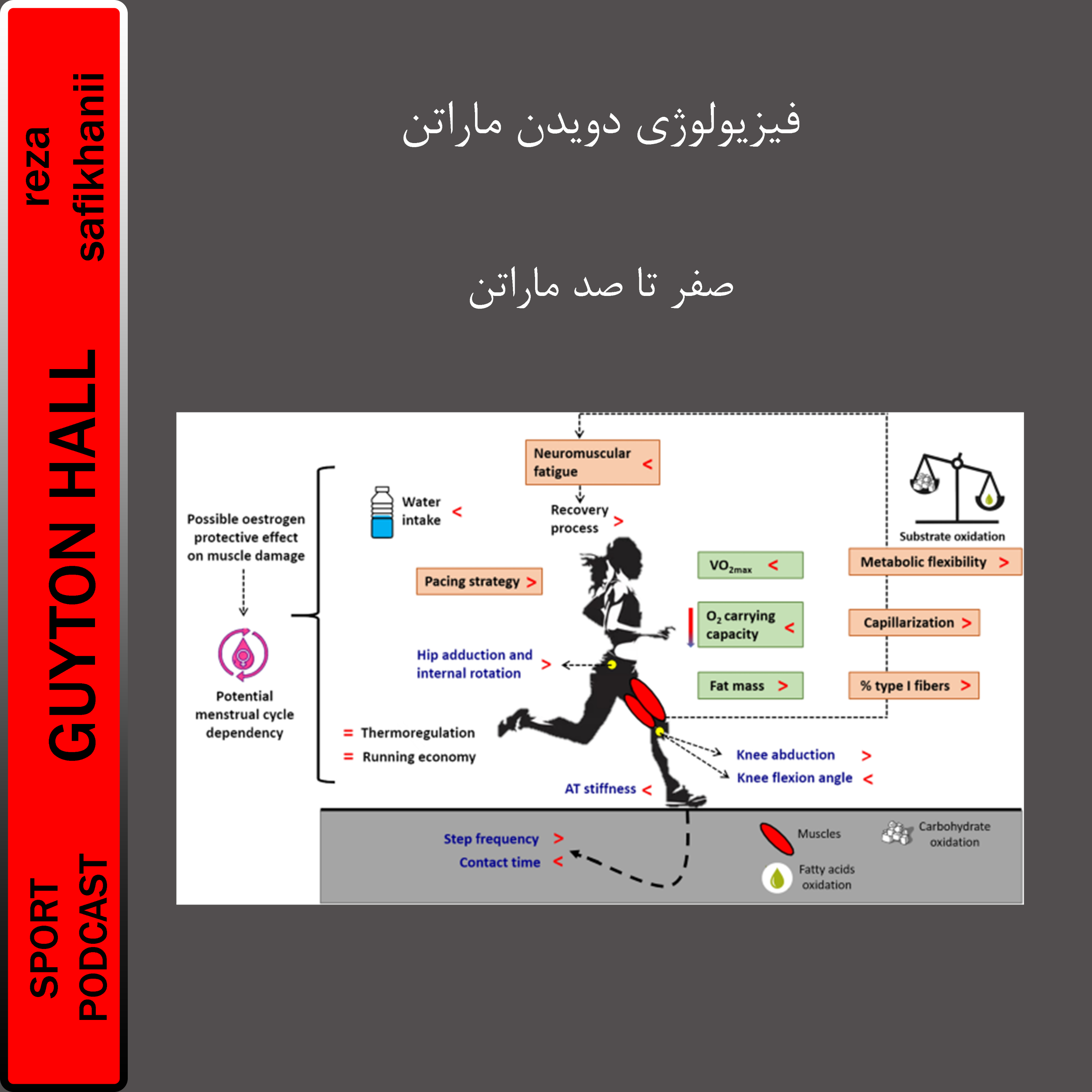 فیزیولوژی دویدن ماراتن