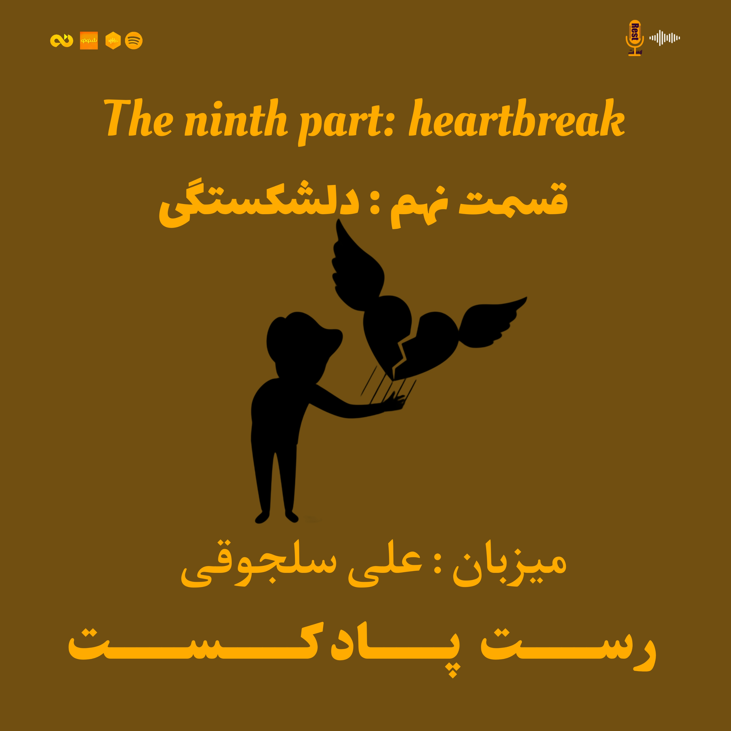 کاور 9.دلشکستگی