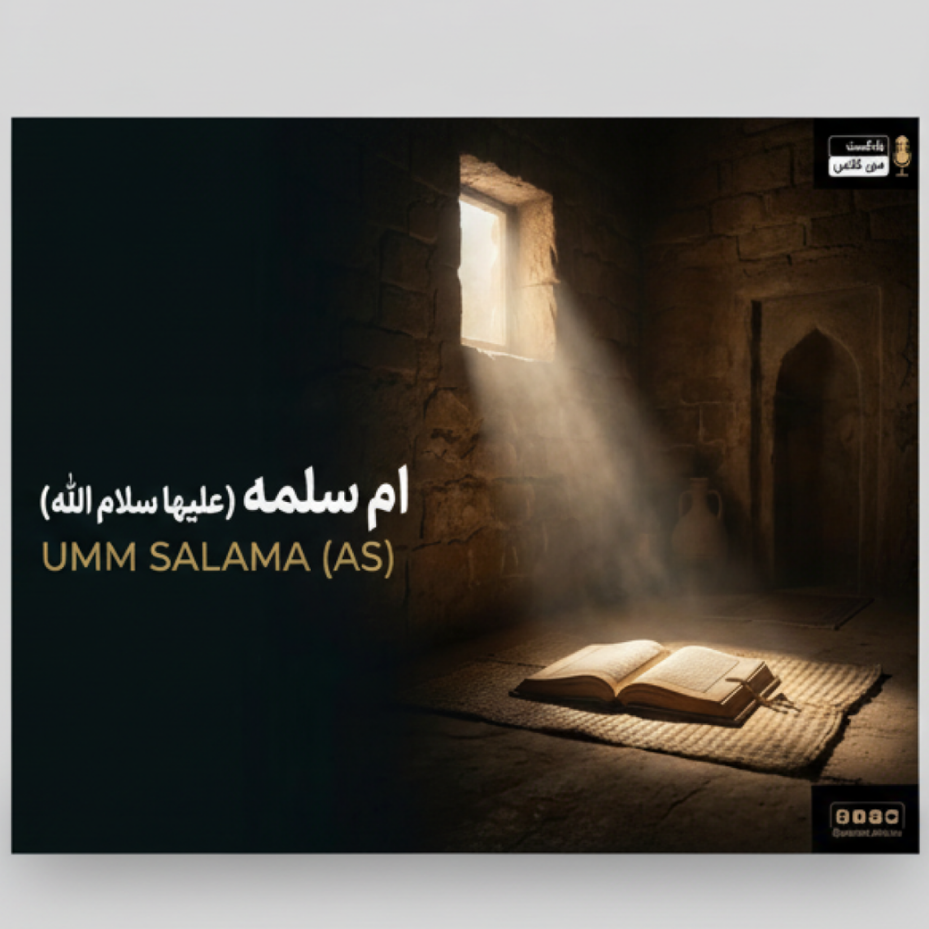 کاور ام سلمه 9