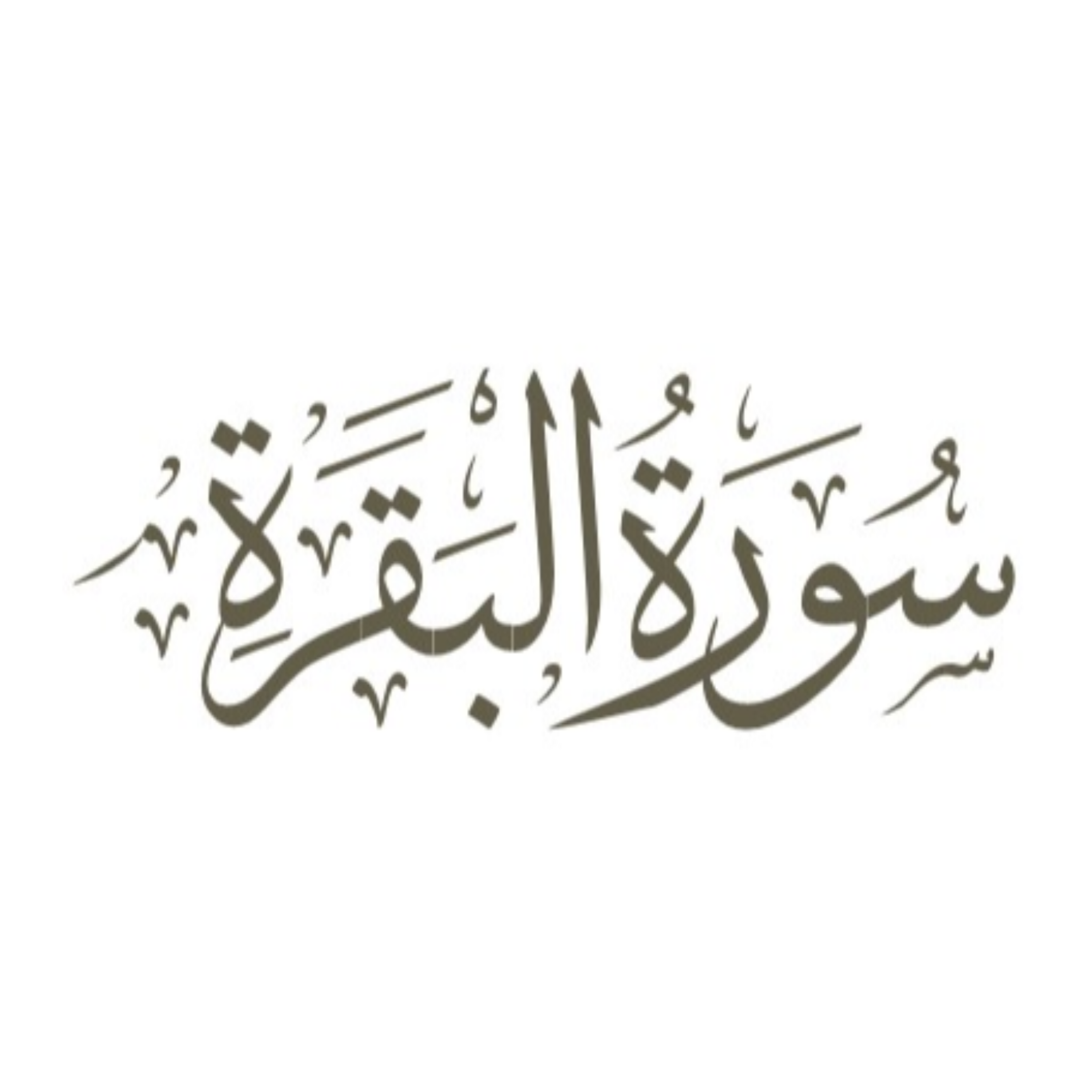 کاور قسمت 51: توضیح کلمه «خالدین»