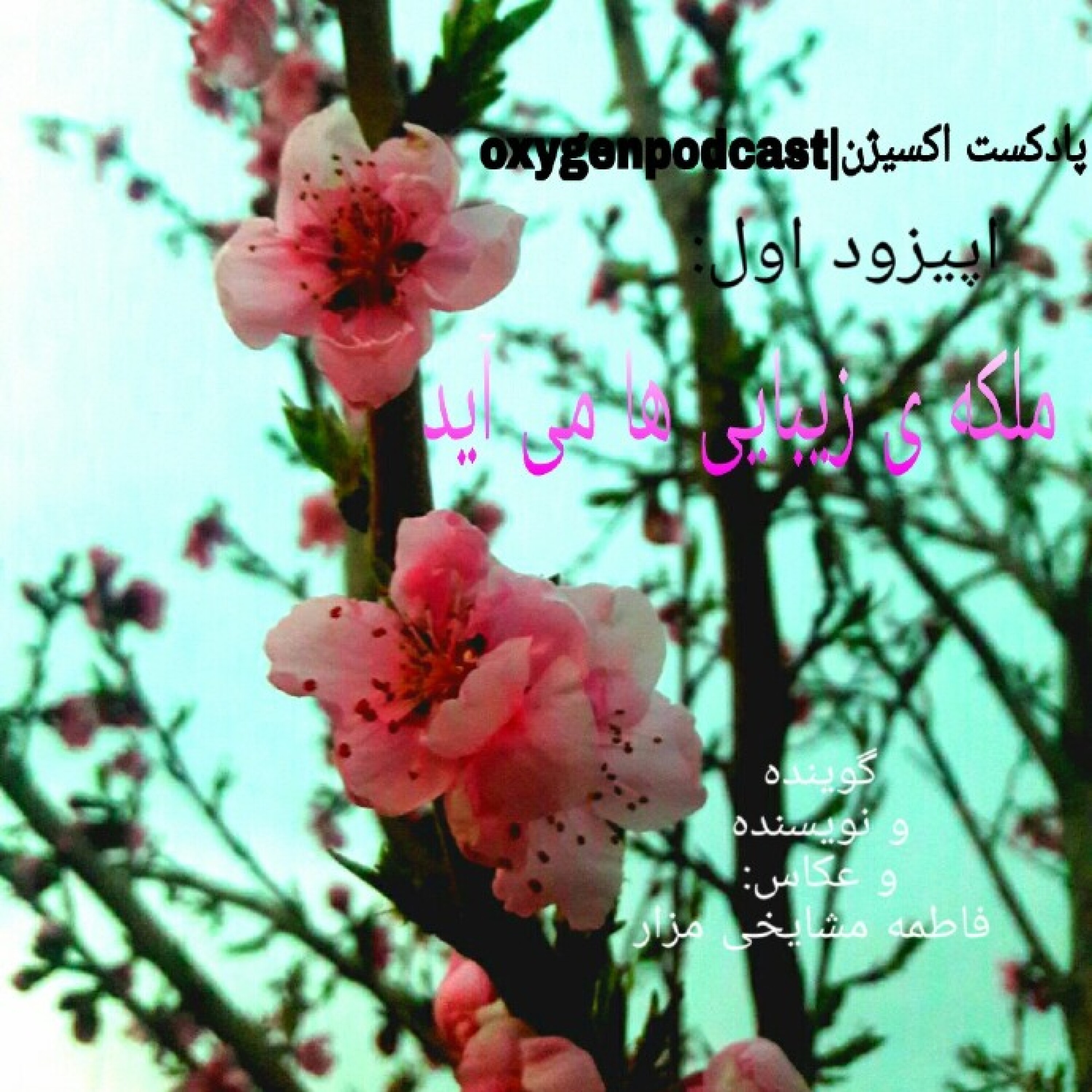 ملکه ی زیبایی ها می آید