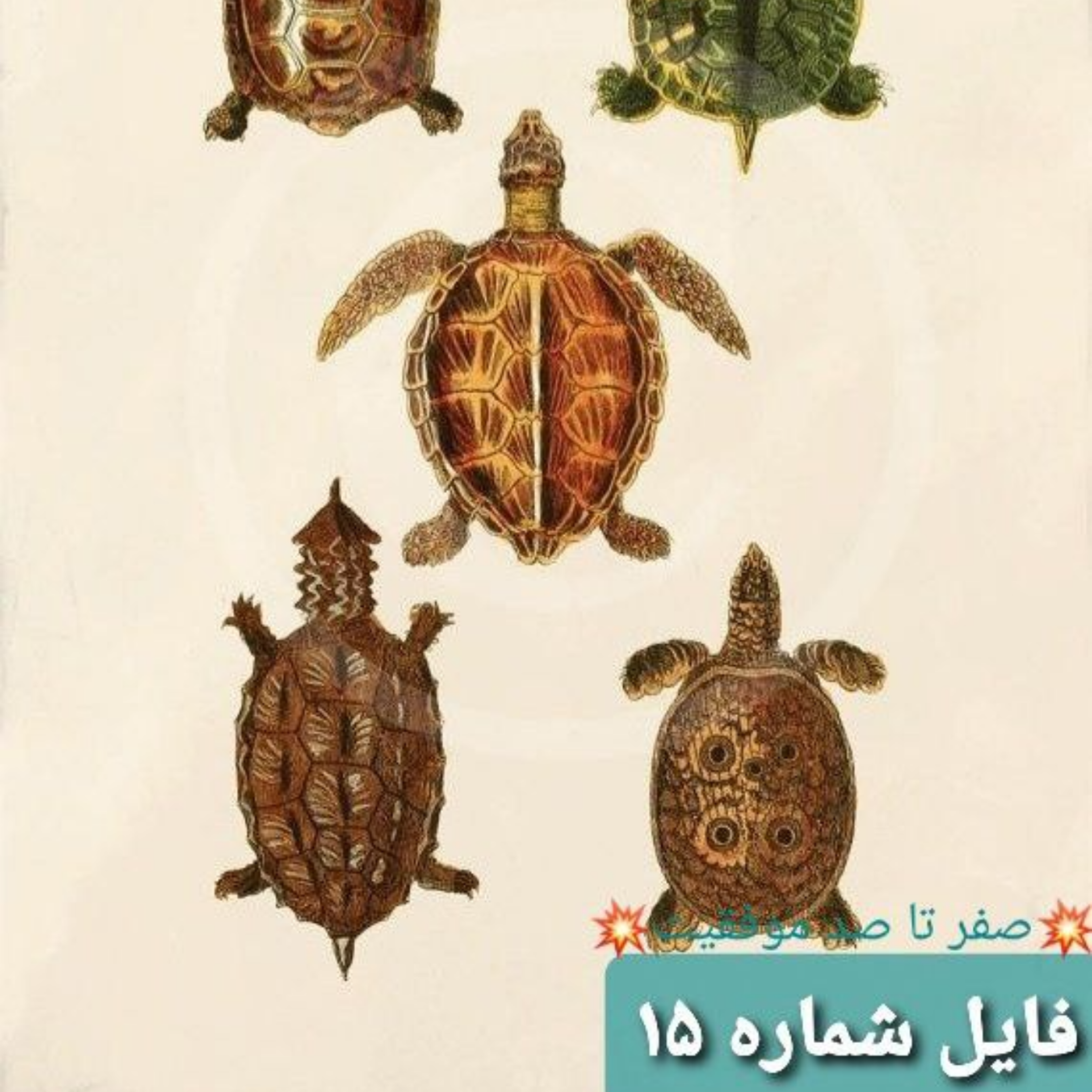 کاور تغییر را از خودت شروع کن