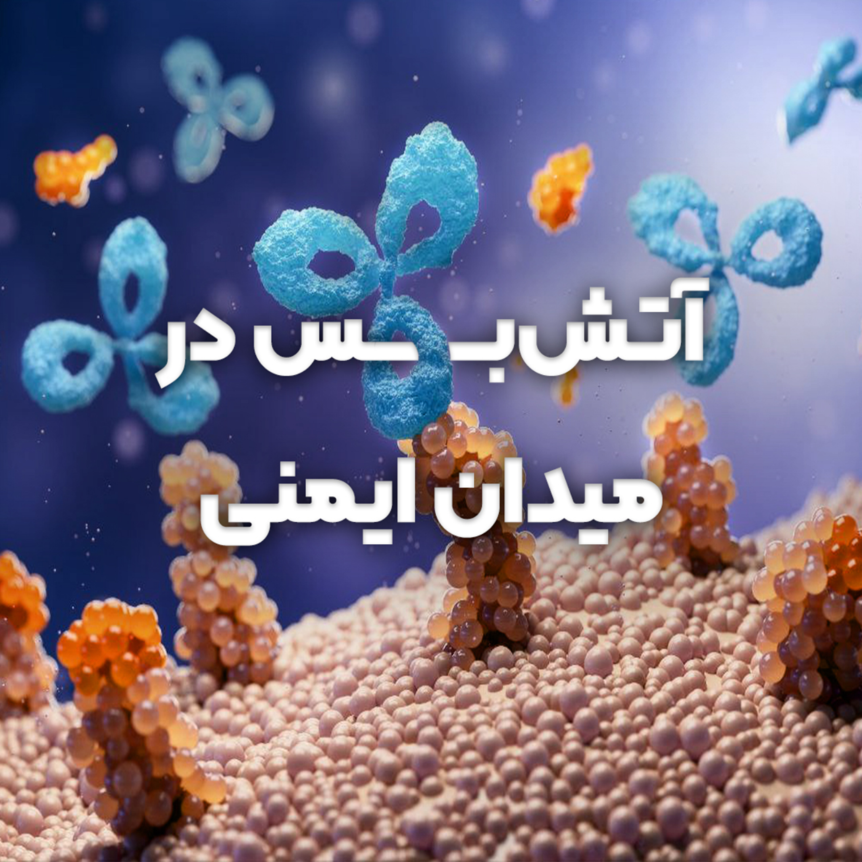 کاور آتشبس در میدان ایمنی