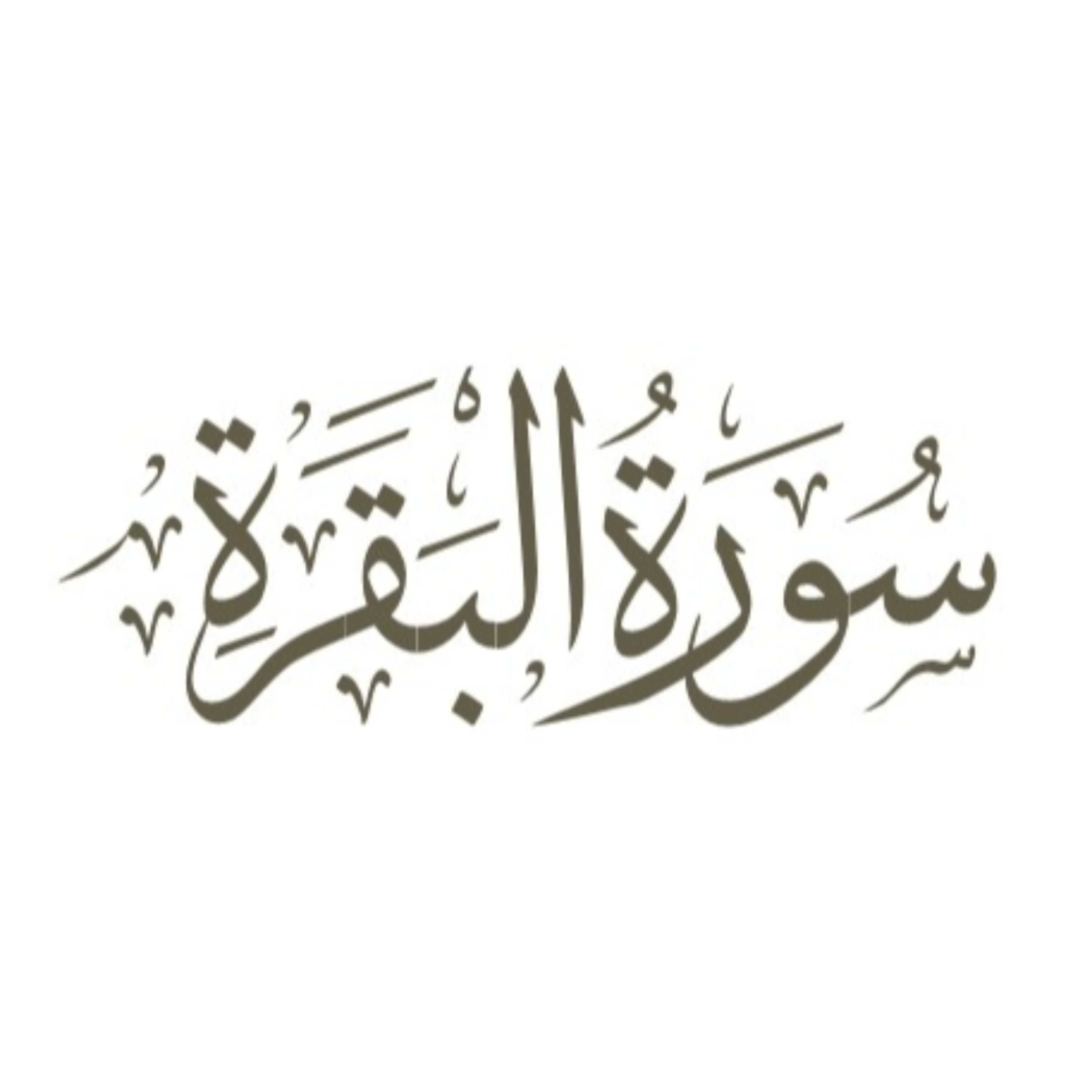 کاور قسمت 29: آیه 30 سوره بقره (خلیفة)