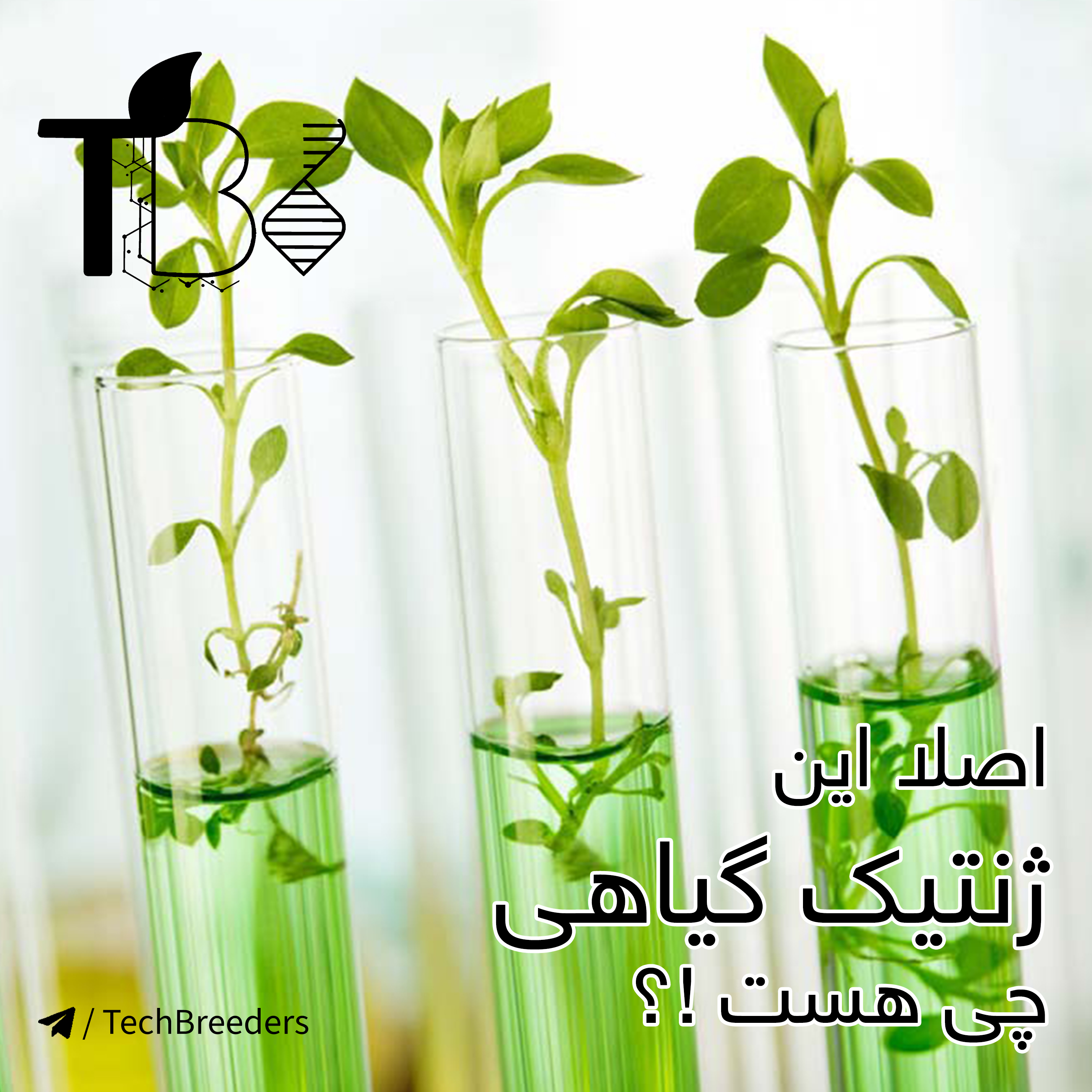 کاور 11.+اصلا این ژنتیک گیاهی چی هست؟!