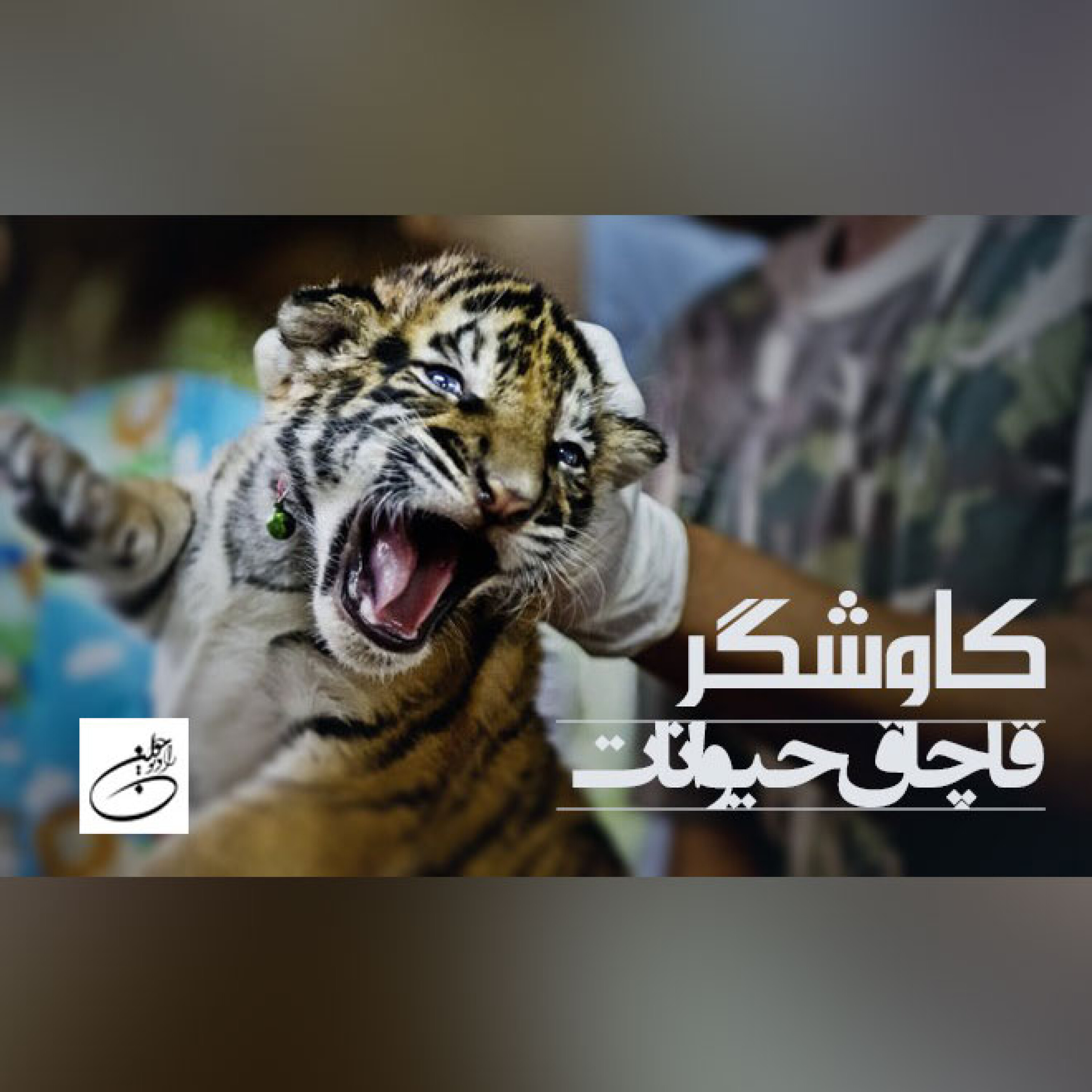 قاچاق حیوانات