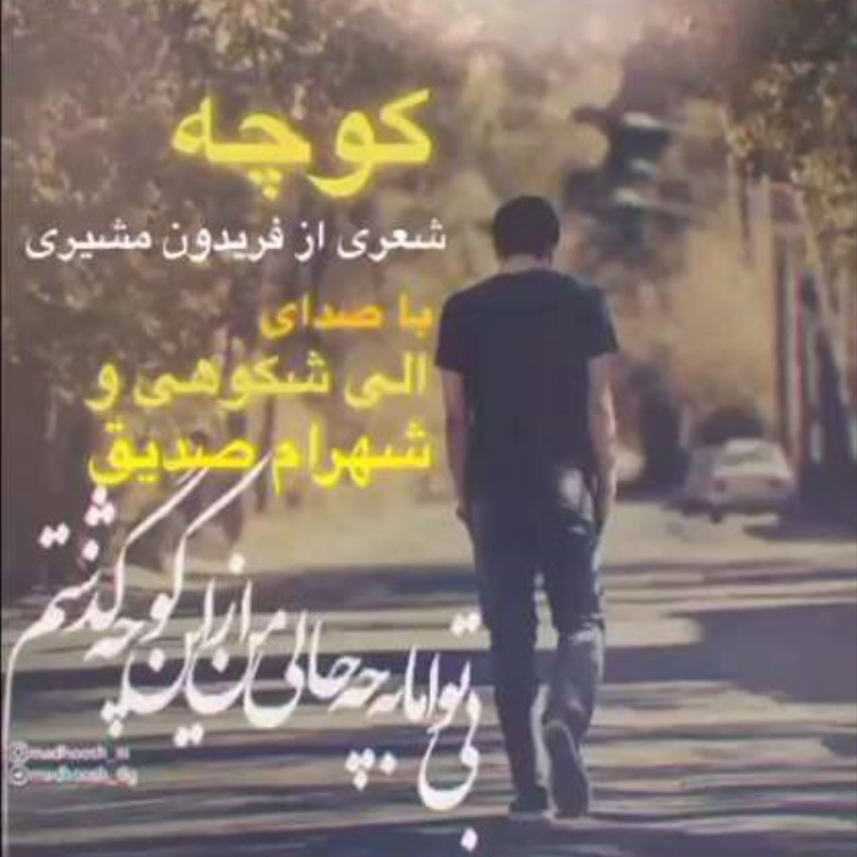 کاور دکلمه کوچه - فریدون مشیری