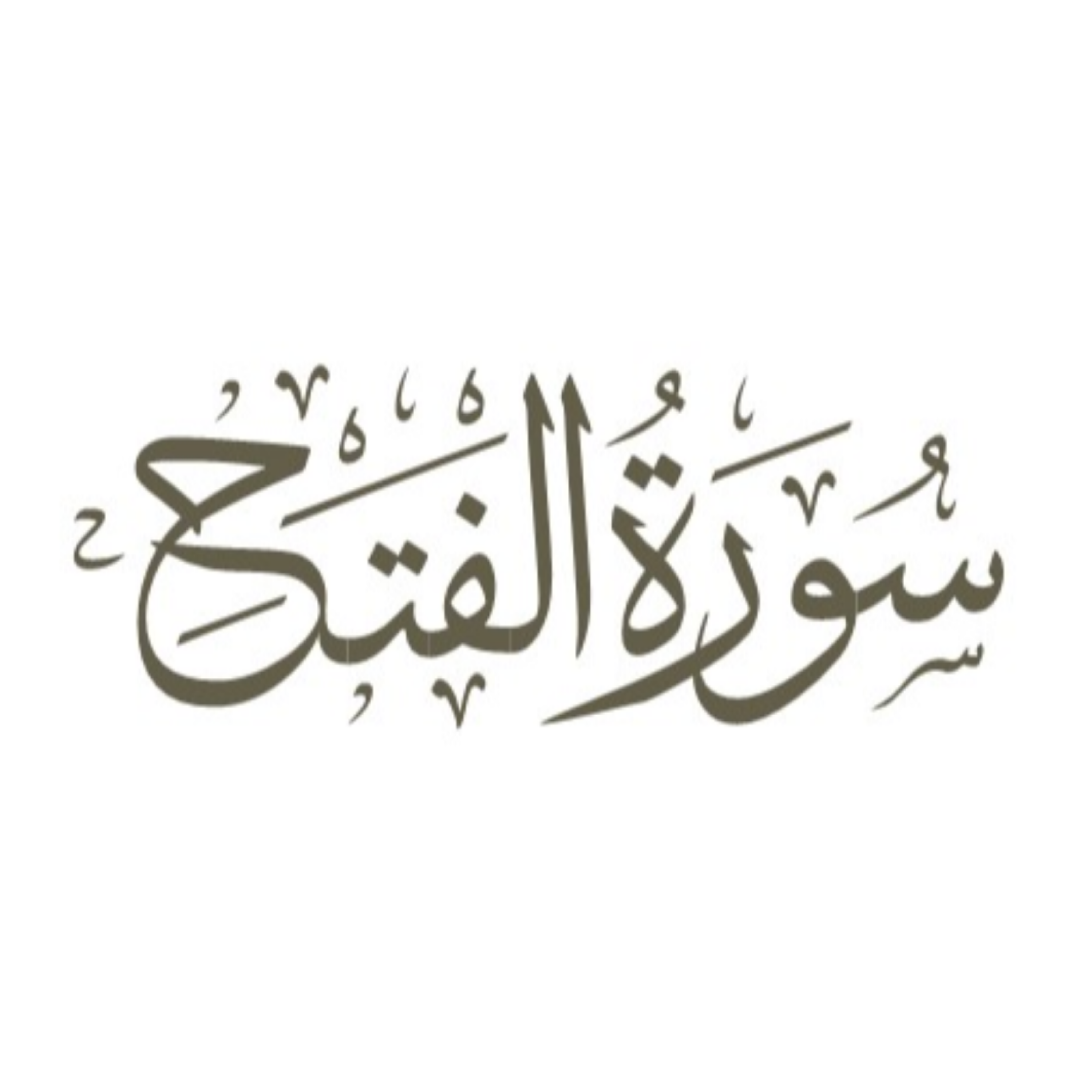 کاور قسمت هشتم: آیه 15