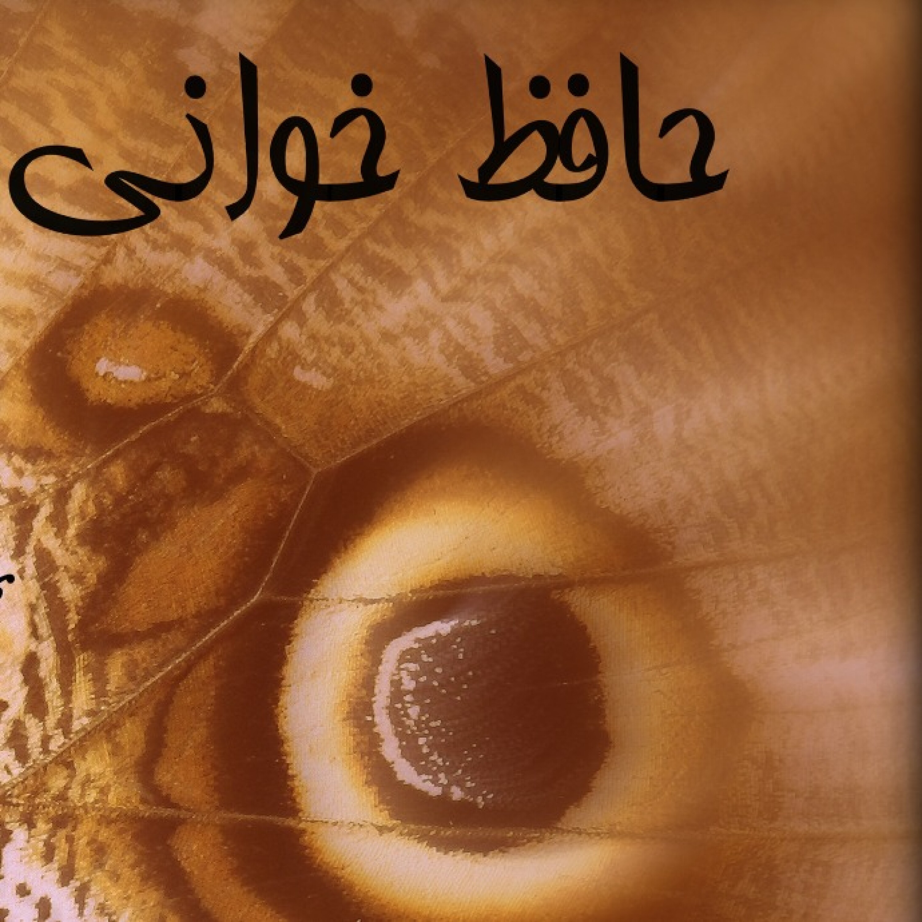 غزل ۳۷۵ حافظ  اجرا شهرزاد فتوحی همراه با نوای سه‌تار نادر فولادی‌نسب