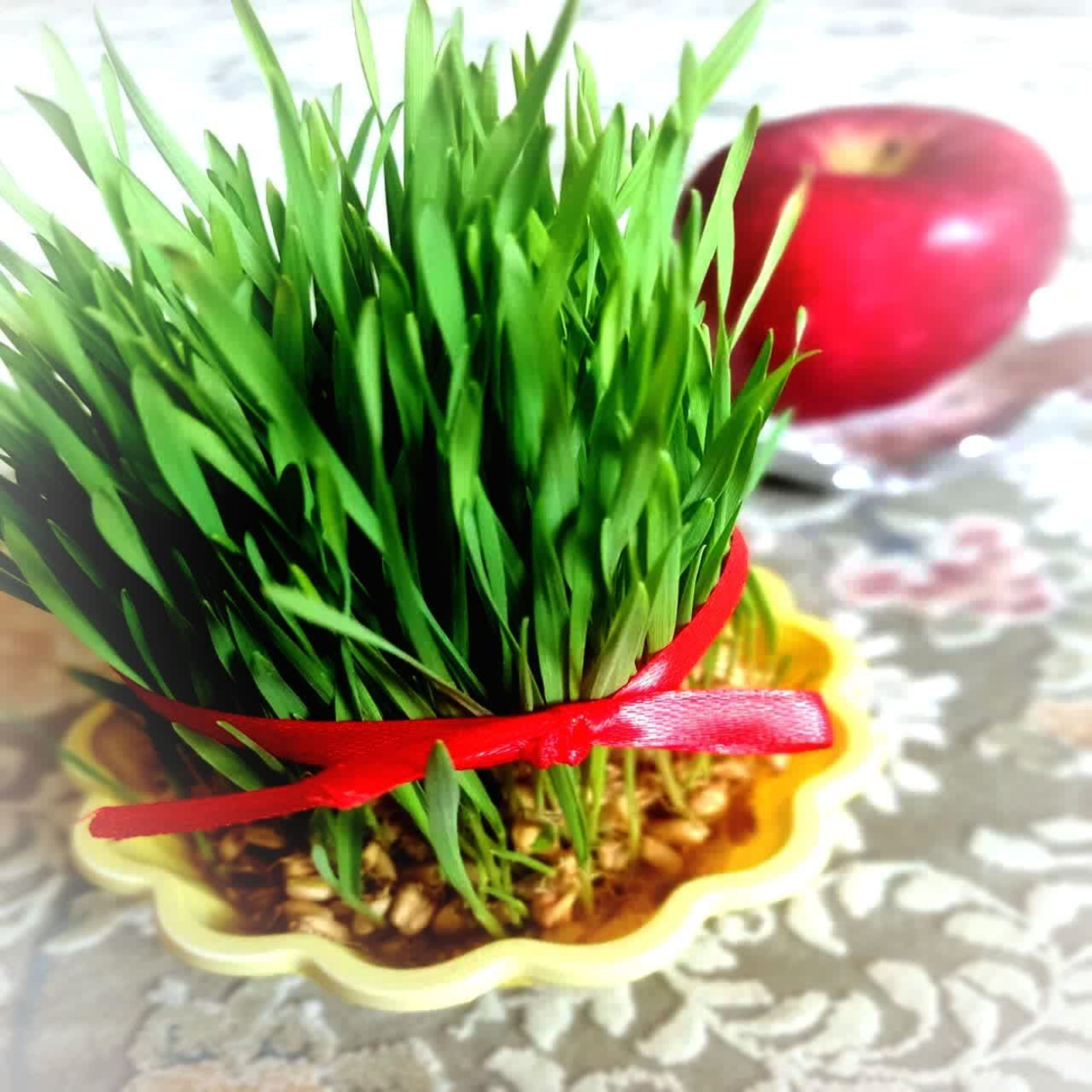 کاور میخواهم ازدواج کنم...
