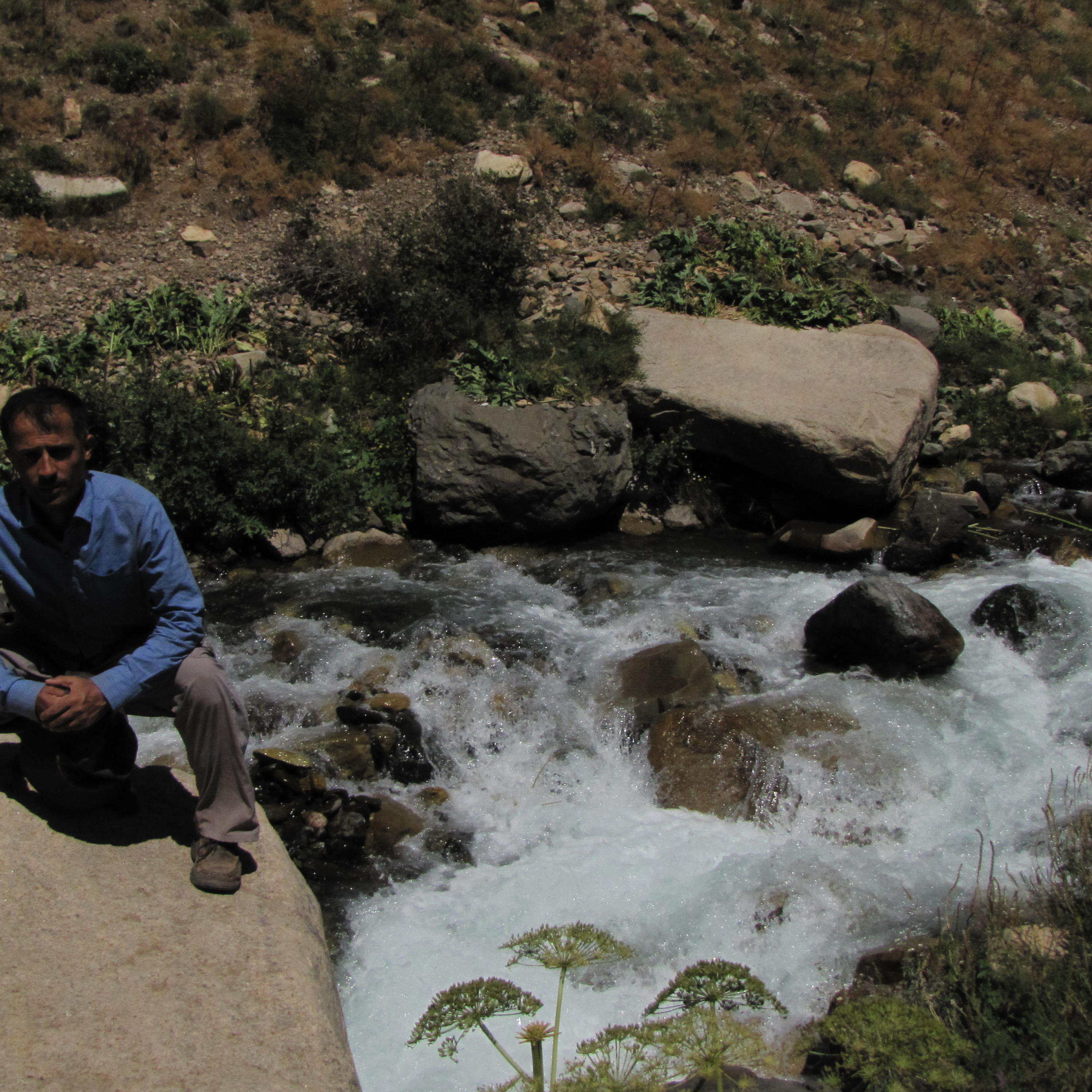 کاور کشتار در طبس3