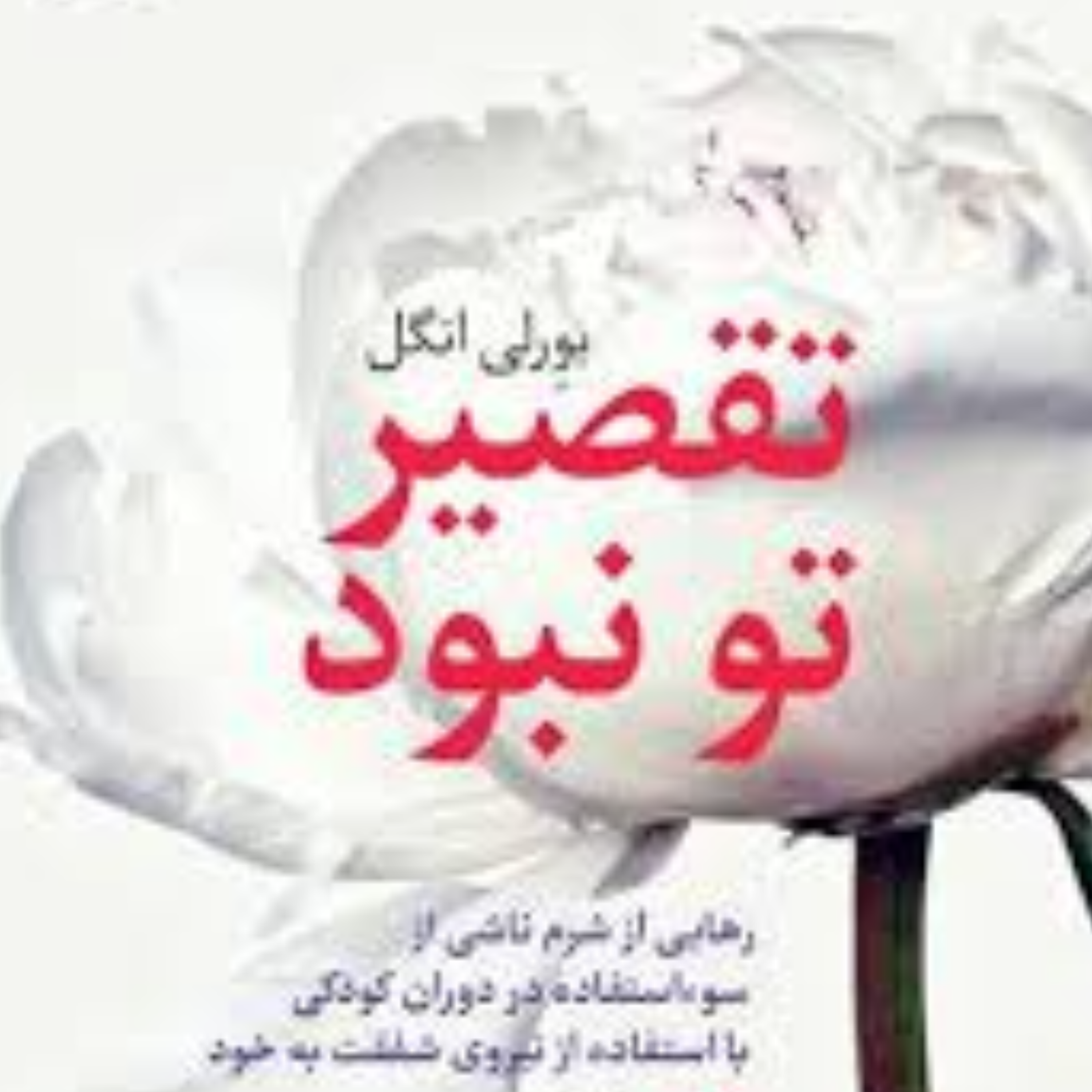 کاور تحلیل کتاب تقصیر تو نبود (قسمت ۲)