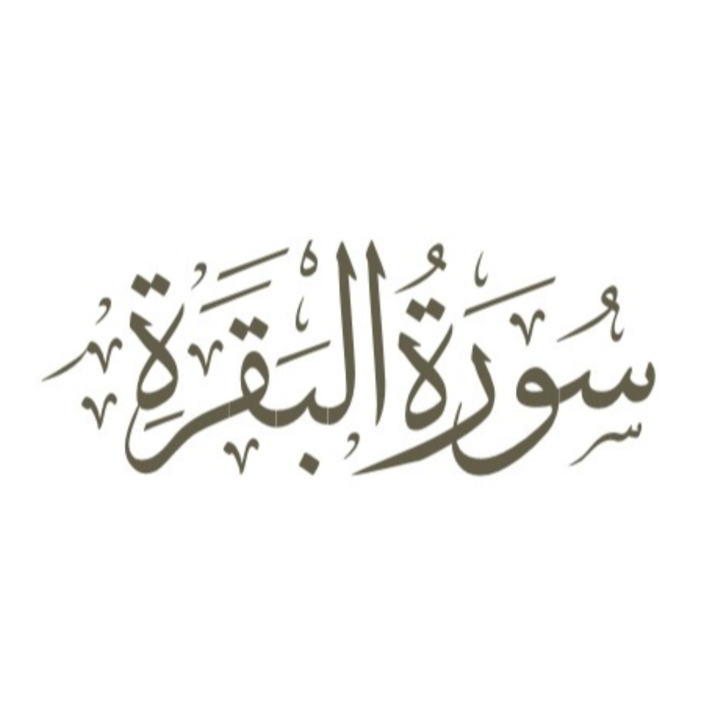 کاور قسمت 21: آیه 20 سوره بقره (یخطف)