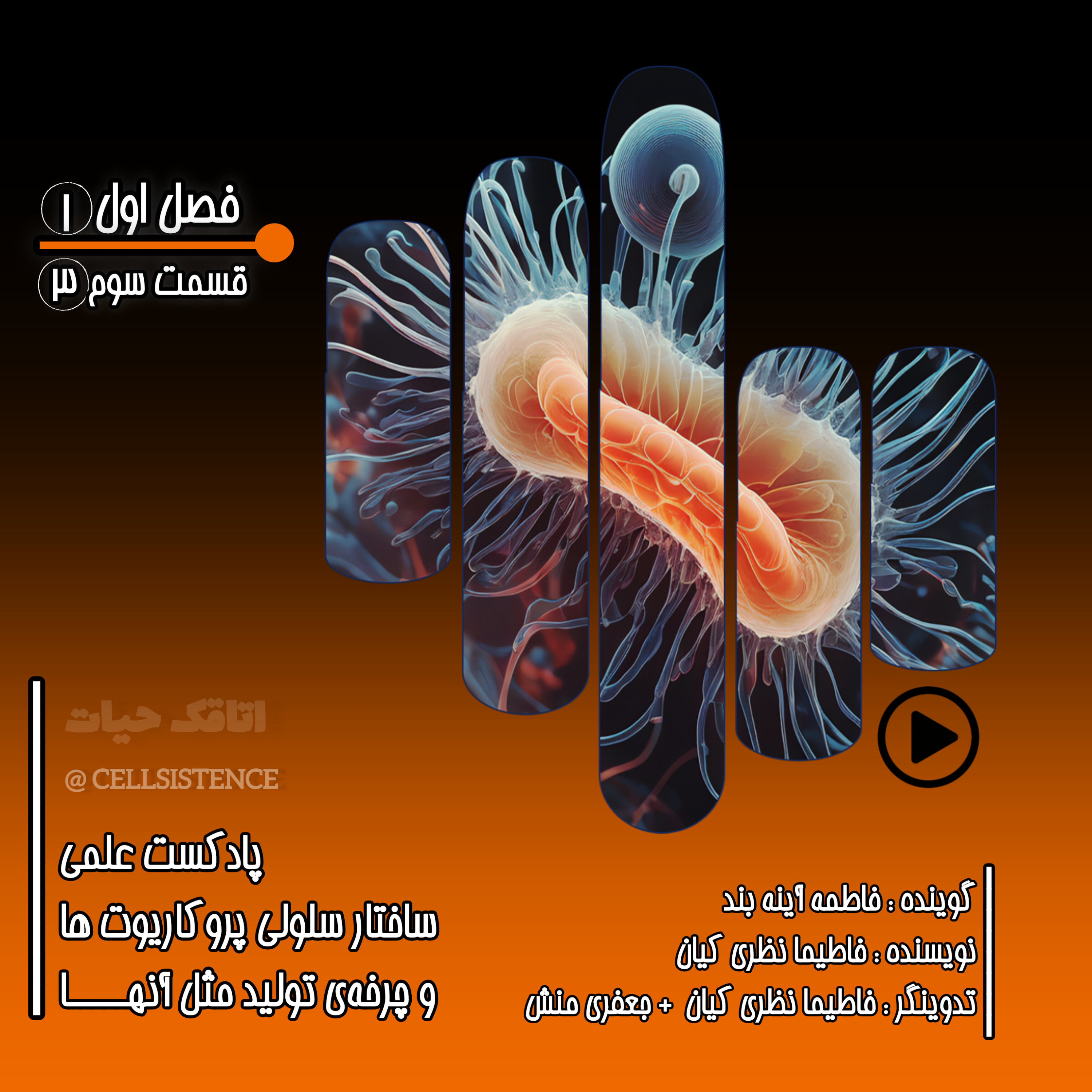 کاور ◾اپیزود سوم فصل اول | ساختار سلولی و تولید مثلی پروکاریوت ها ◾