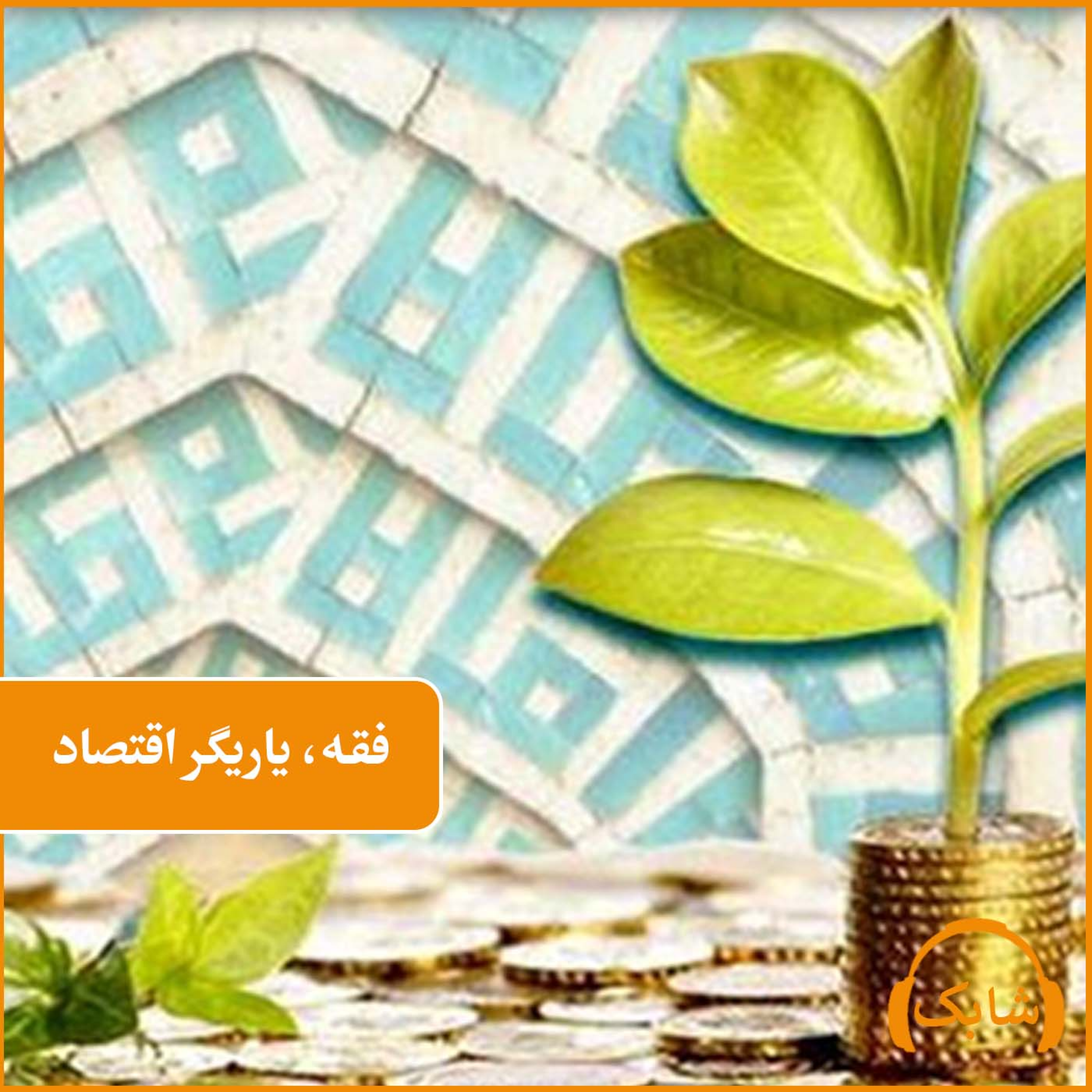 کاور فقه، یاریگر اقتصاد