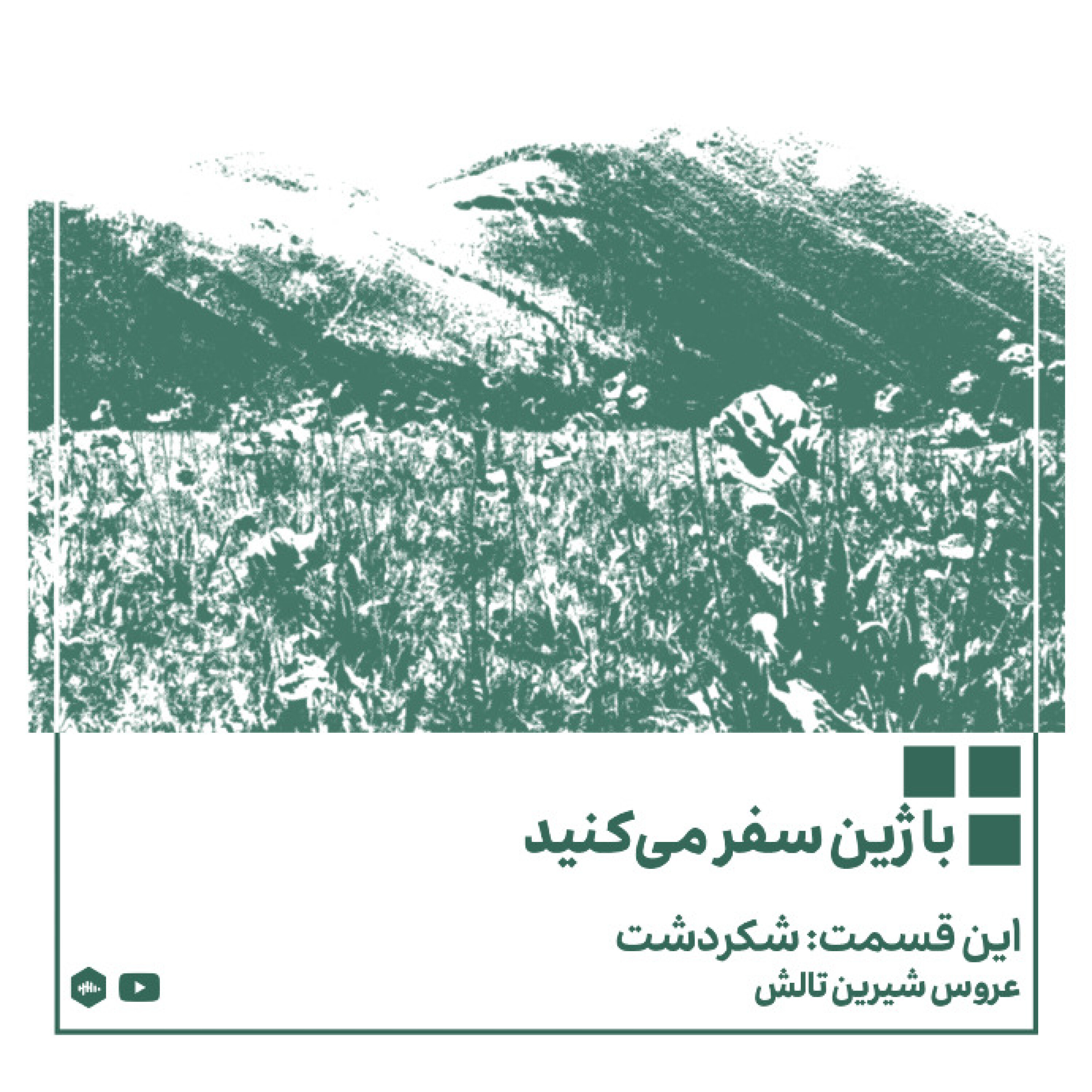 پادکست ژین - عروس شیرین تالش