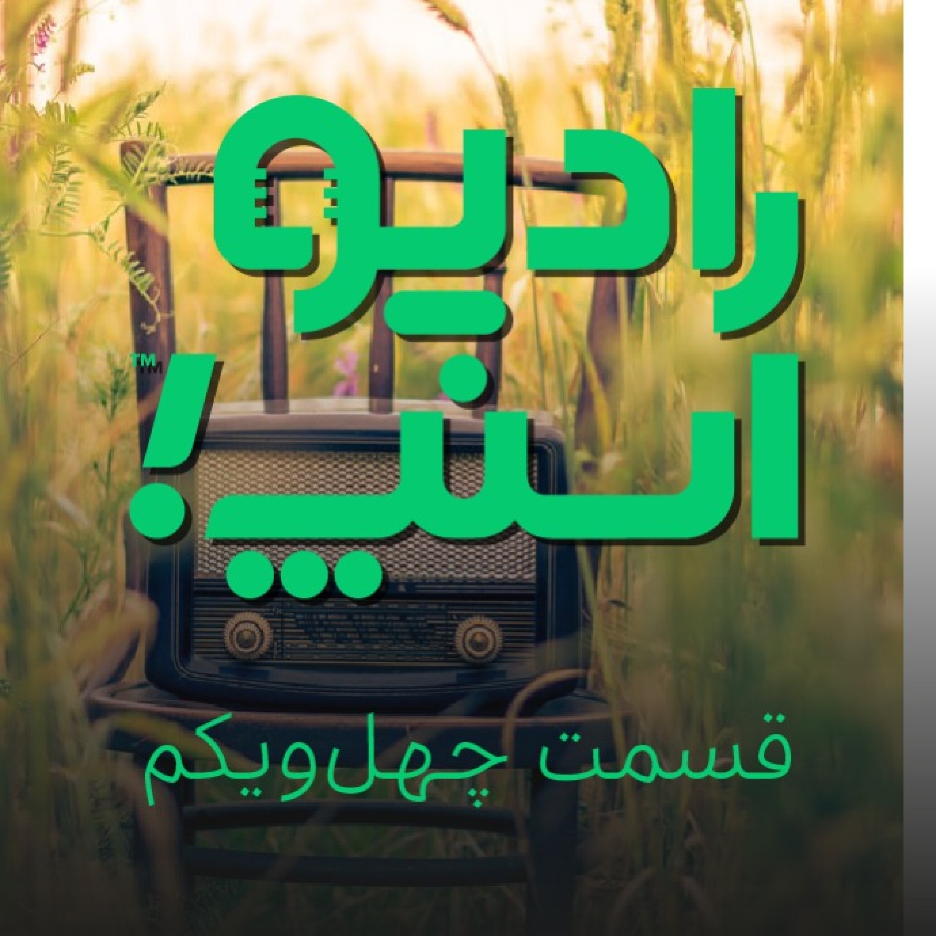 رادیو اسنپ| خاطراتی از قهرمانان اسنپ