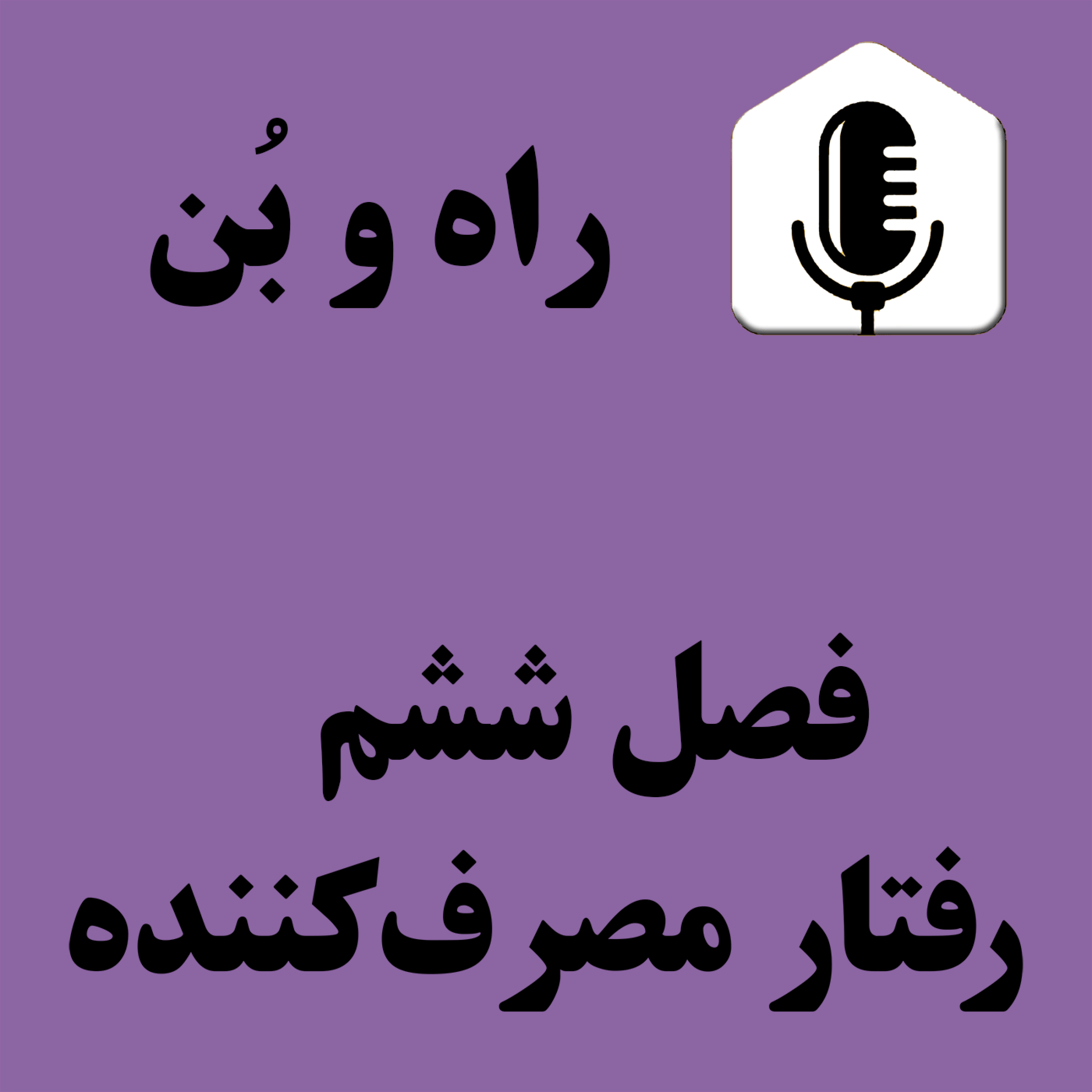 کاور 85-شرطی سازی در بازاریابی و رفتار مصرف کننده ، تخفیف در بازاریابی، یادگیری مشتری ، تقویت رفتار مشتری