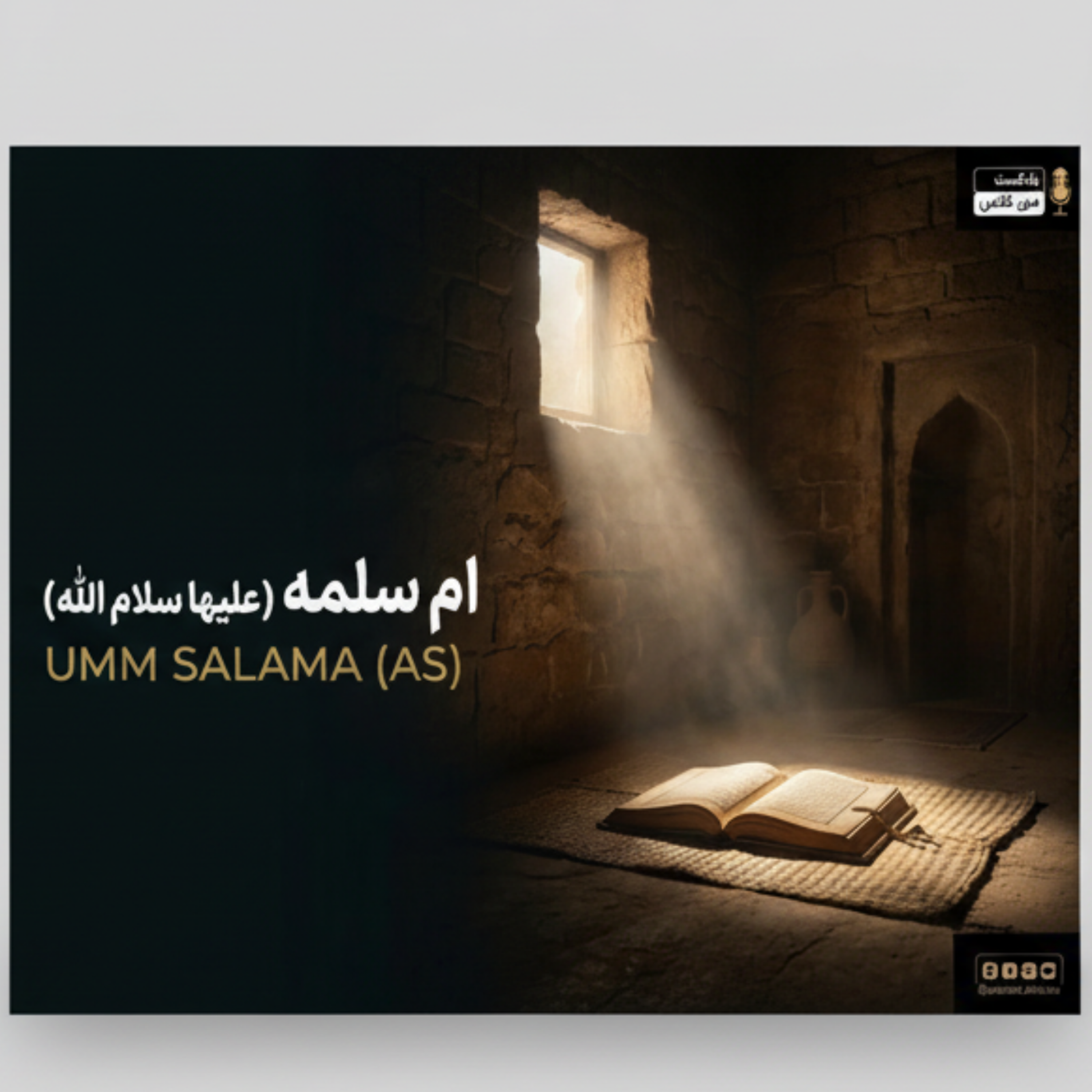 کاور ام سلمه 6