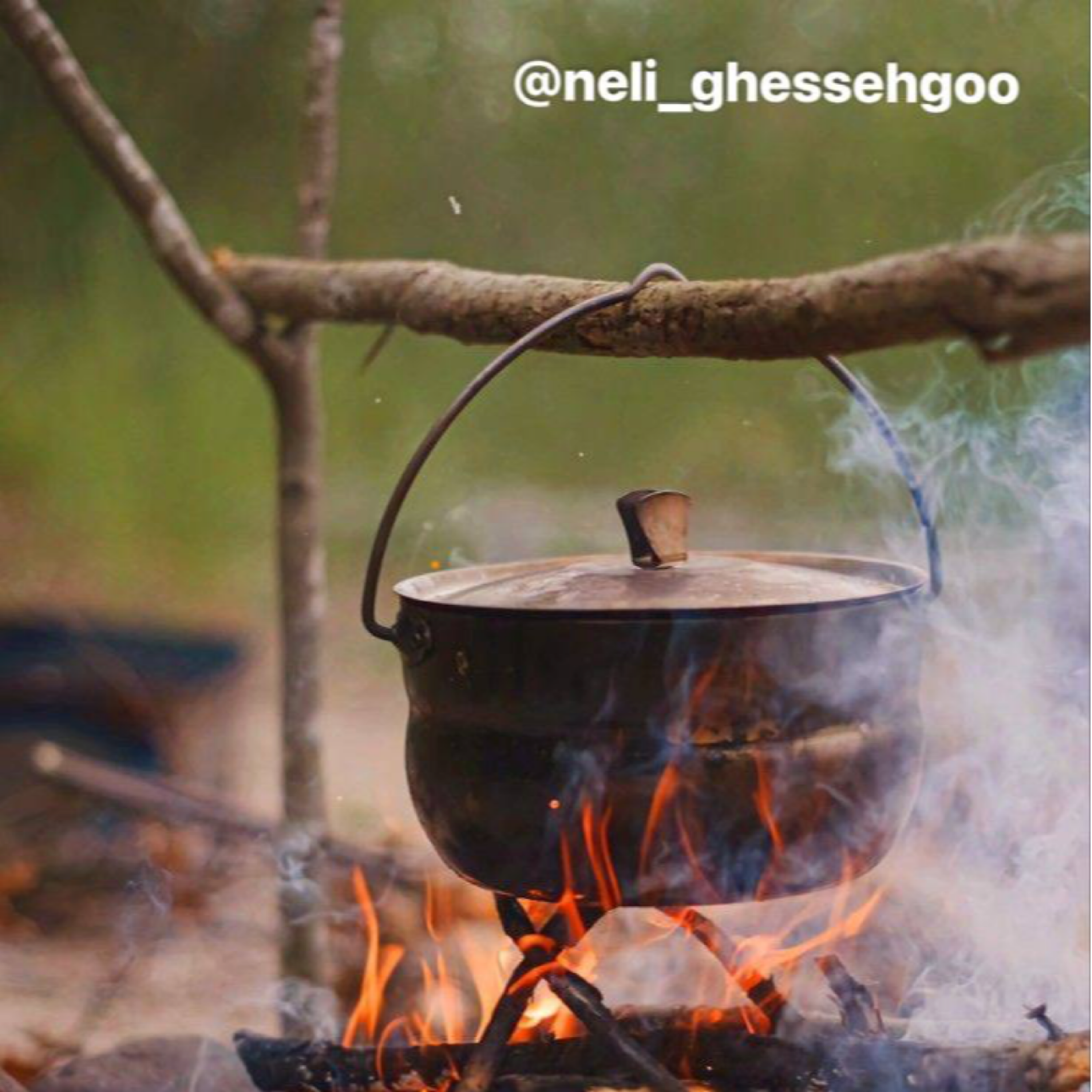 نلی قصه گو