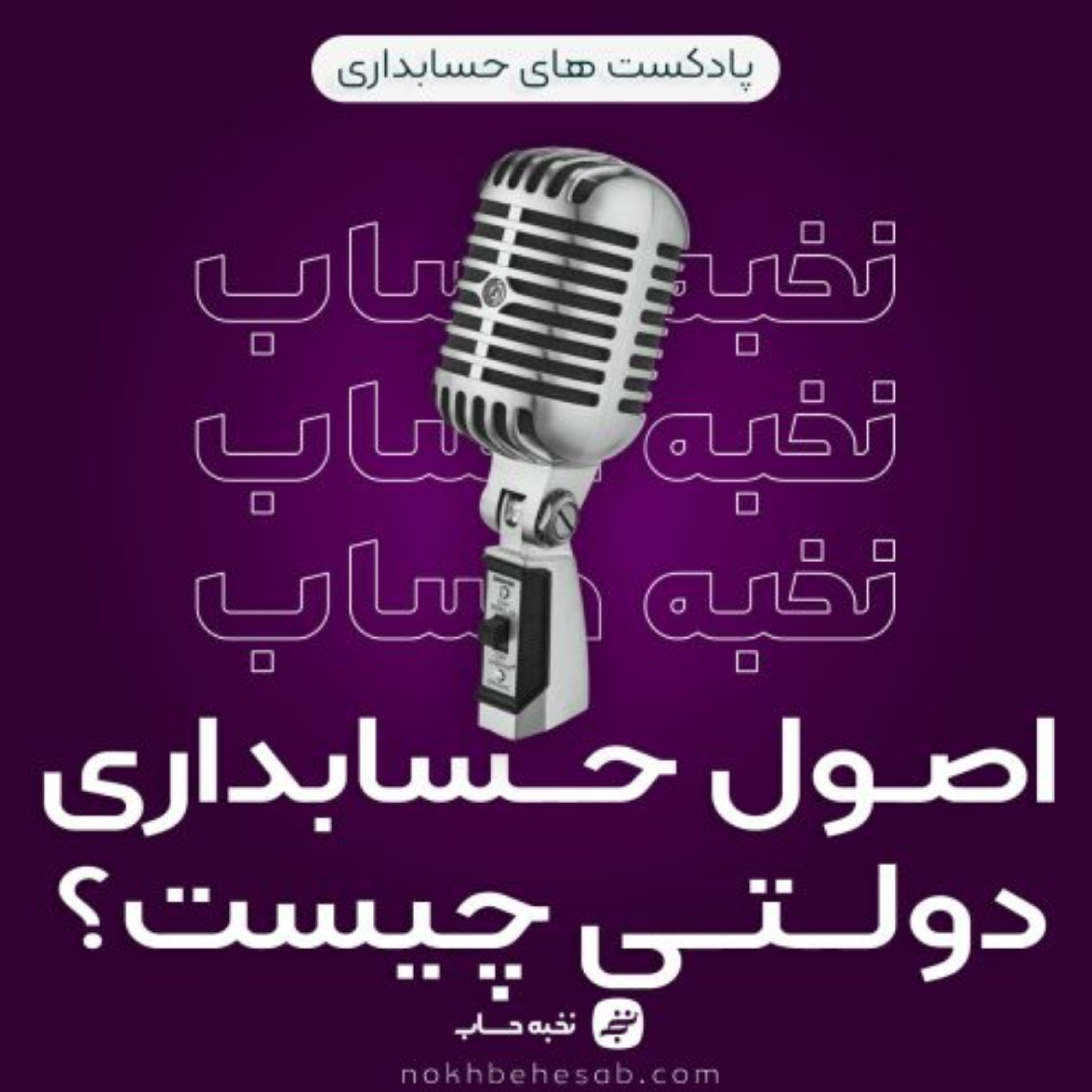 کاور اصول حسابداری دولتی چیست؟