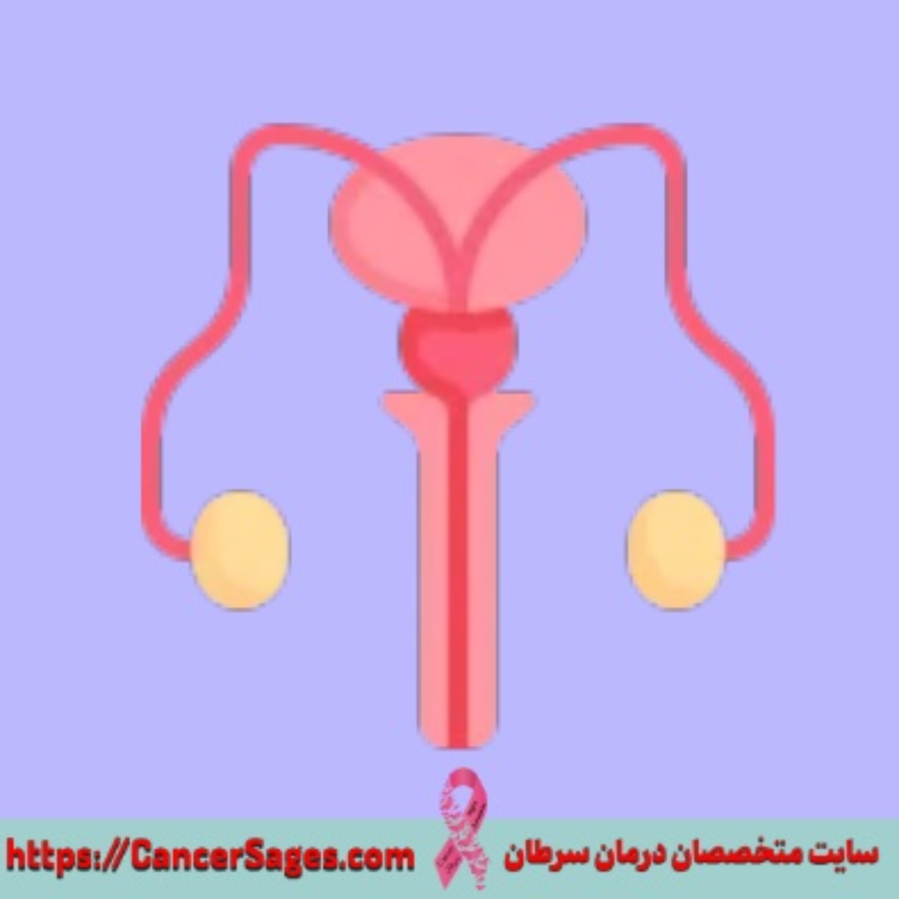 کاور سرطان پروستات آنچه باید بدانید از علائم، تشخیص تا درمان
