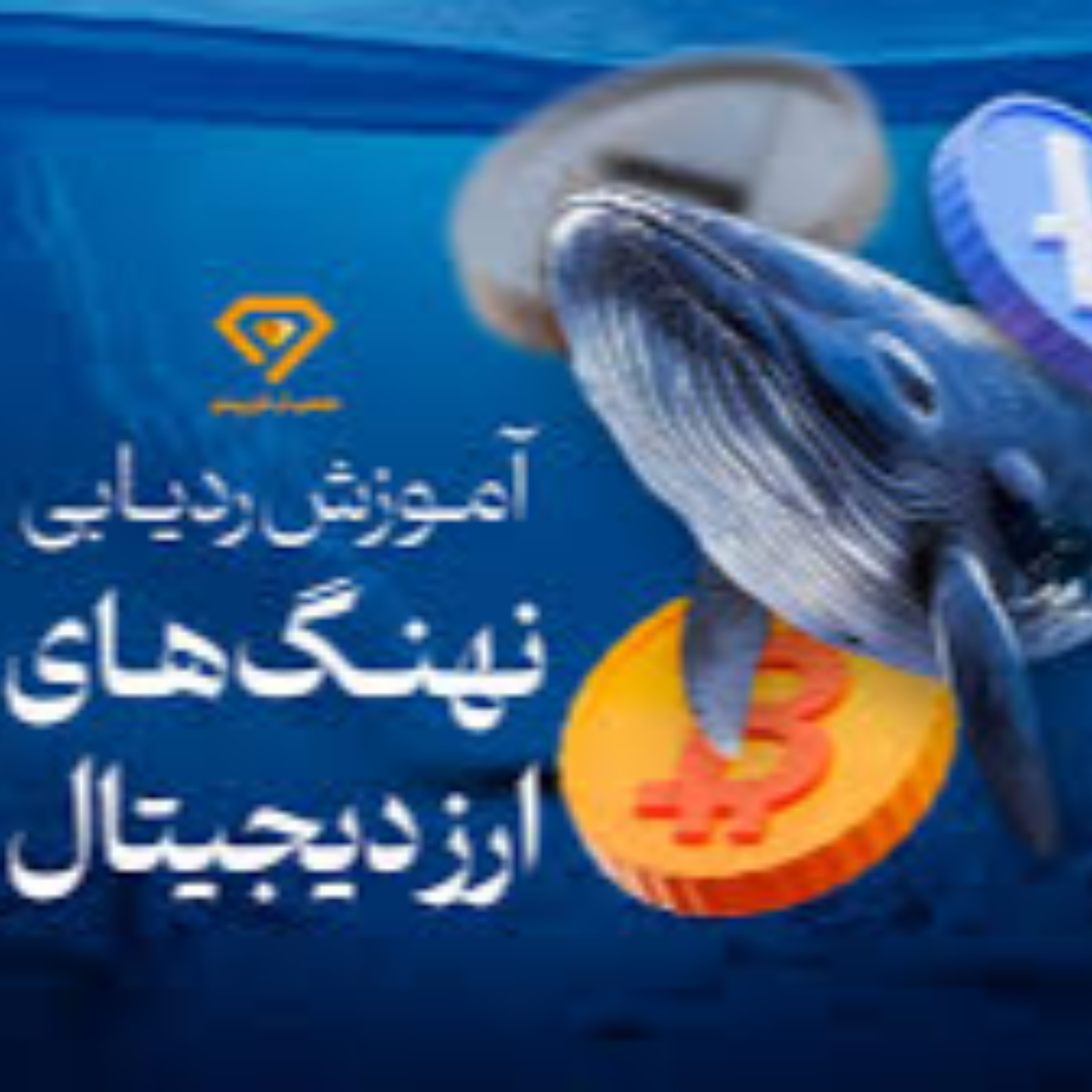کاور کاملترین آموزش ردیابی معاملات نهنگ ها