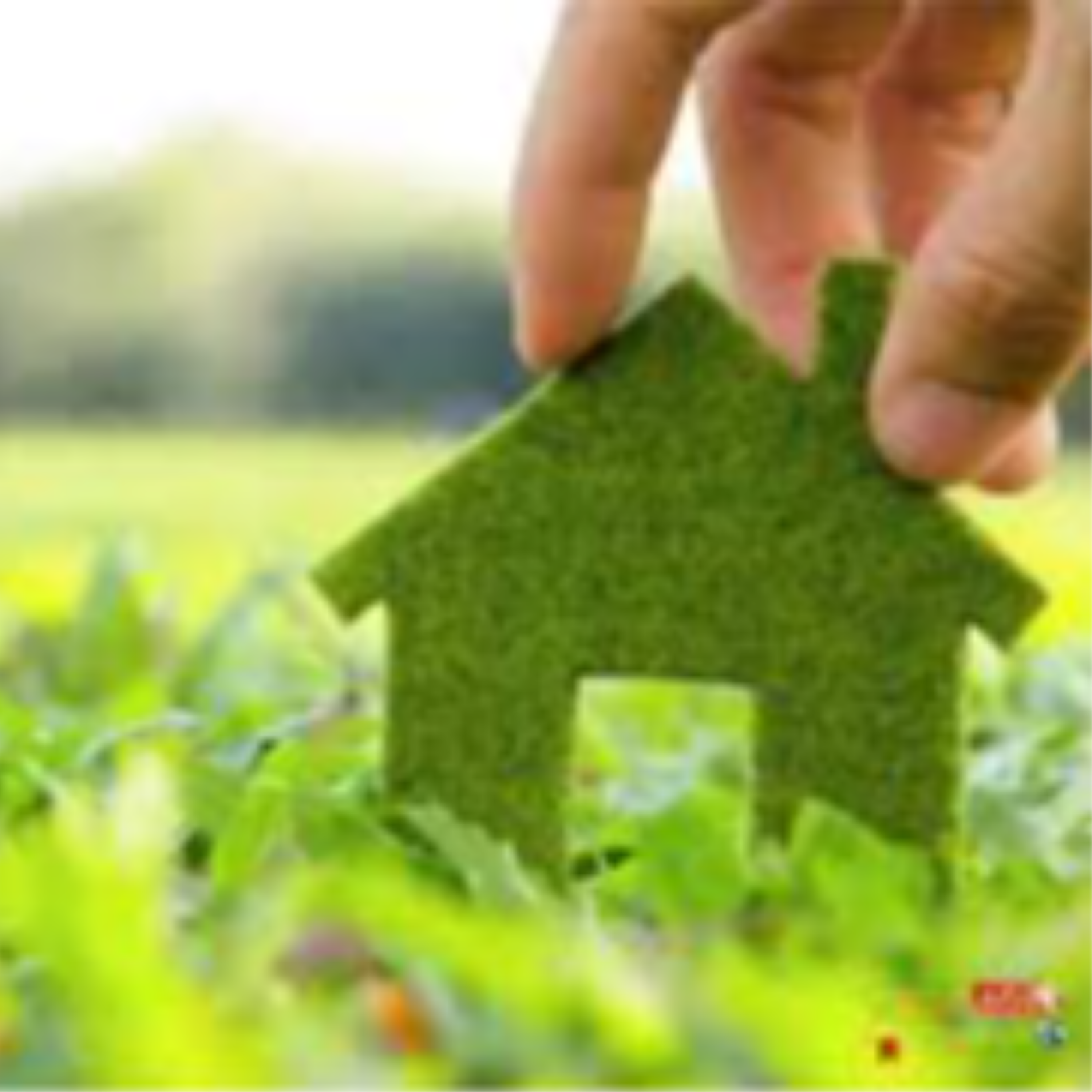 کاور محیط زیست و پروژه های عمرانی: دکتر علی قربانی