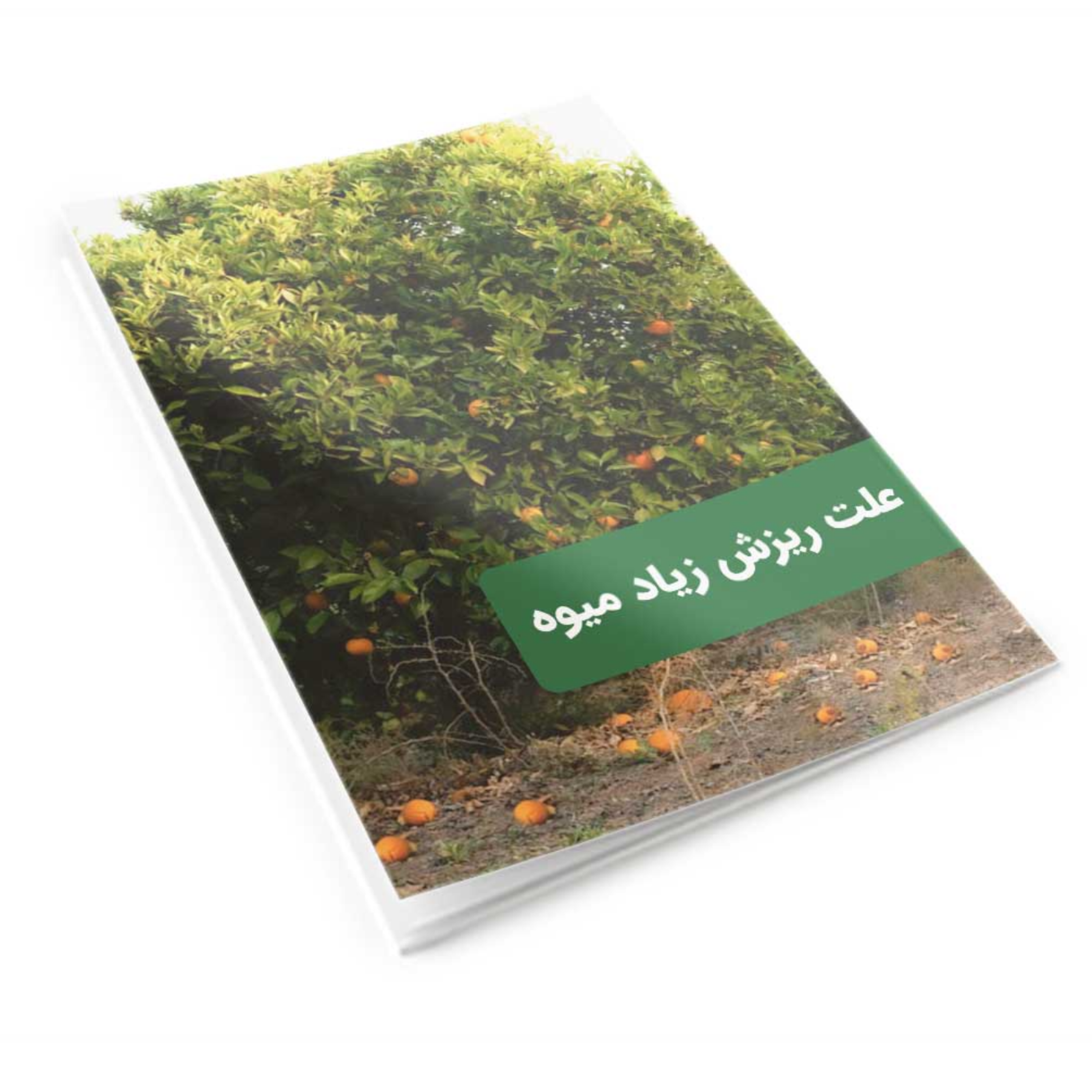 کاور علت ریزش زیاد میوه